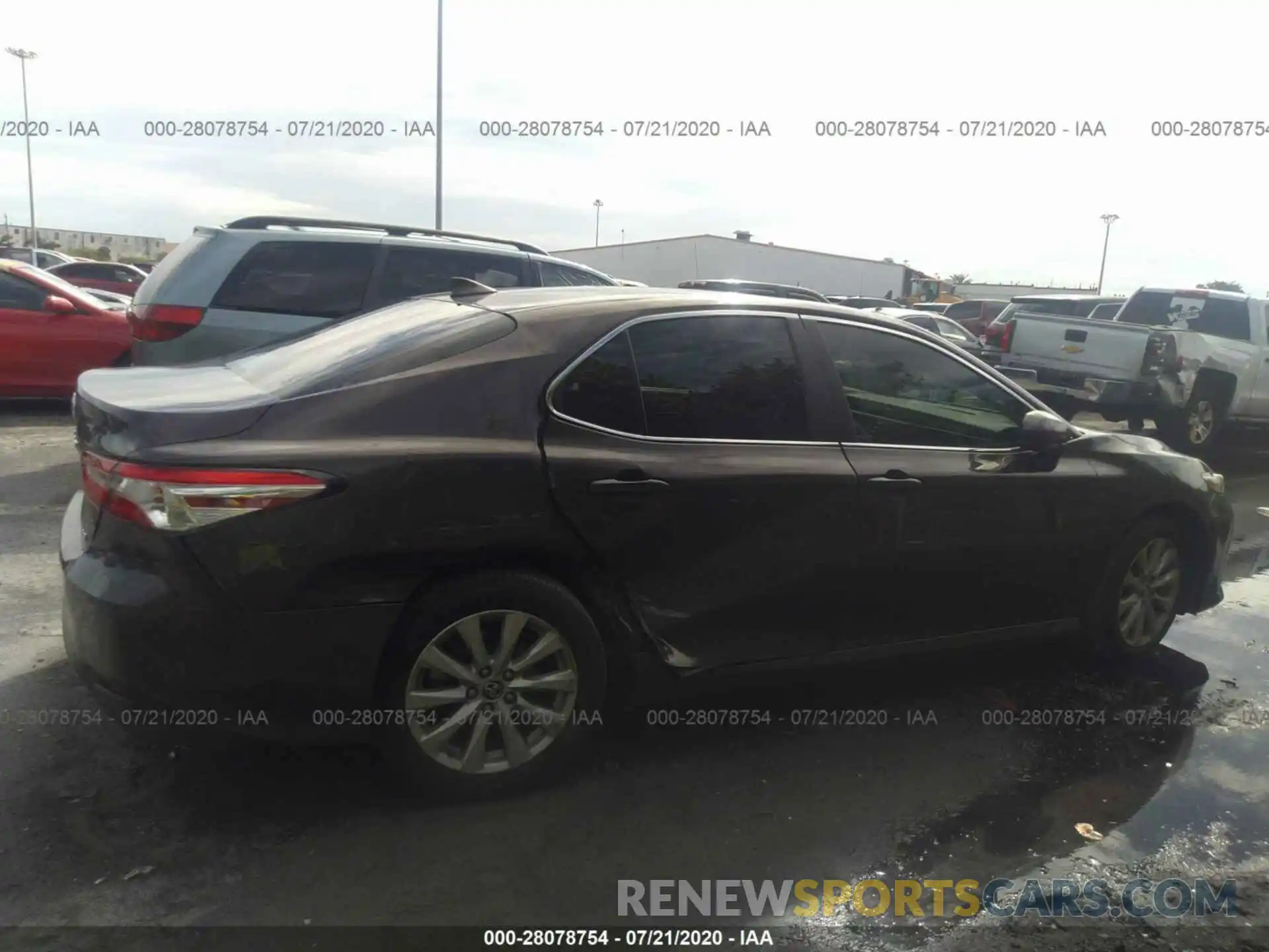 6 Photograph of a damaged car 4T1B11HK2KU710784 TOYOTA CAMRY 2019