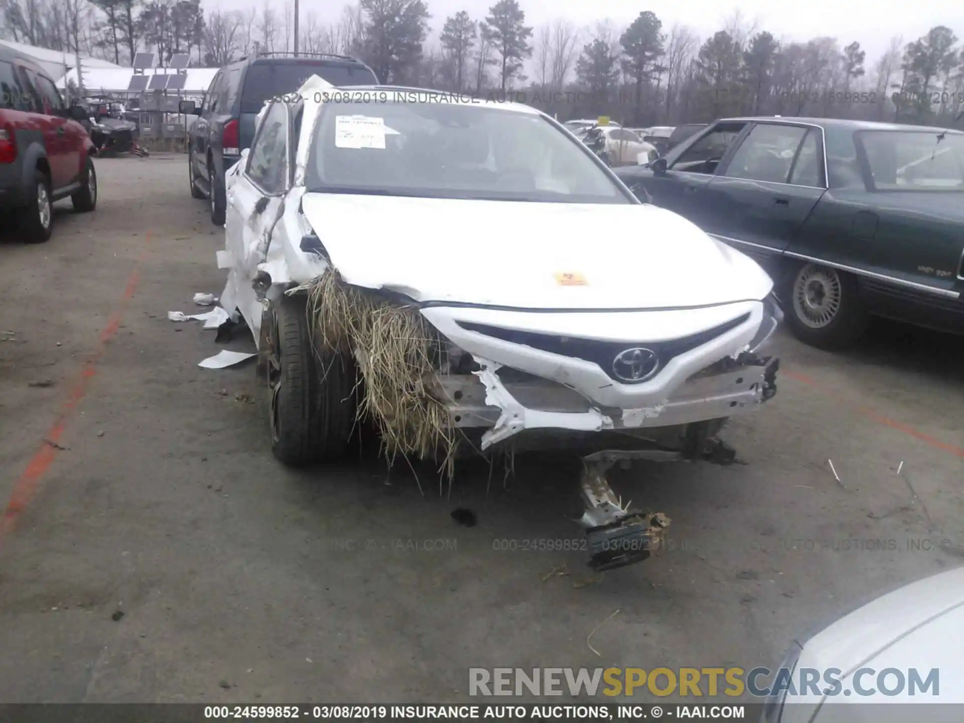 6 Photograph of a damaged car 4T1B11HK2KU712163 TOYOTA CAMRY 2019