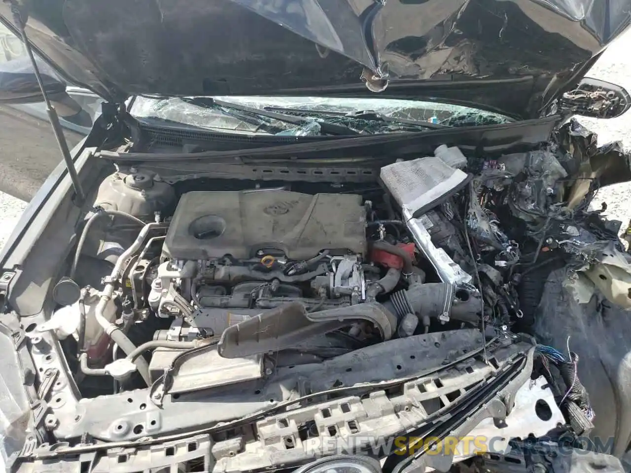 7 Photograph of a damaged car 4T1B11HK2KU746474 TOYOTA CAMRY 2019