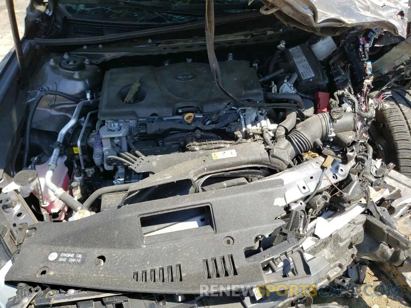 7 Photograph of a damaged car 4T1B11HK2KU748970 TOYOTA CAMRY 2019