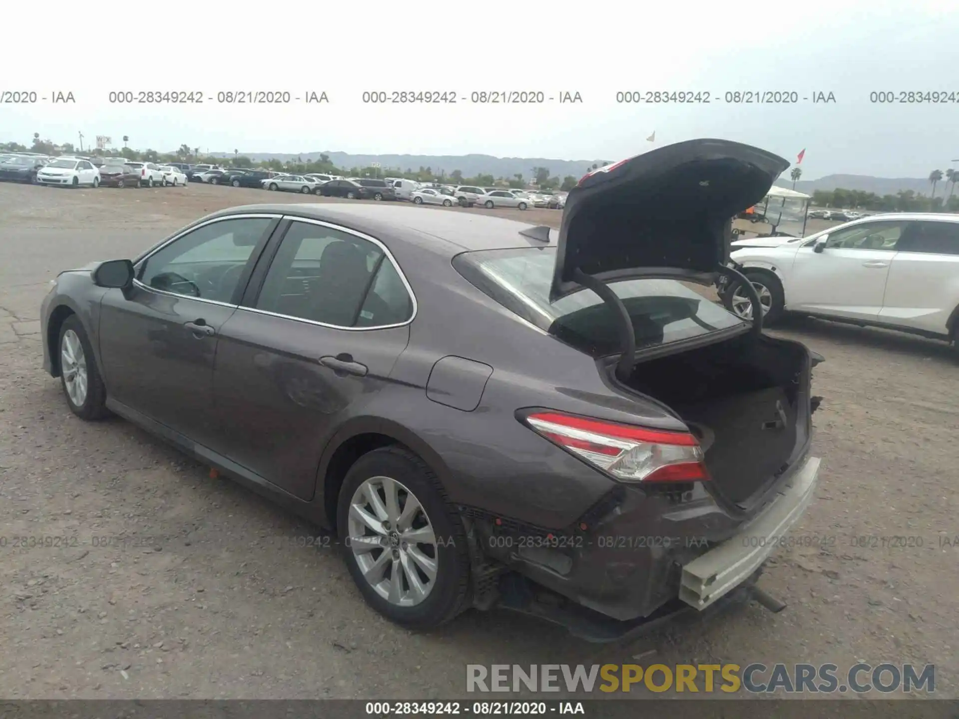 12 Photograph of a damaged car 4T1B11HK2KU756809 TOYOTA CAMRY 2019