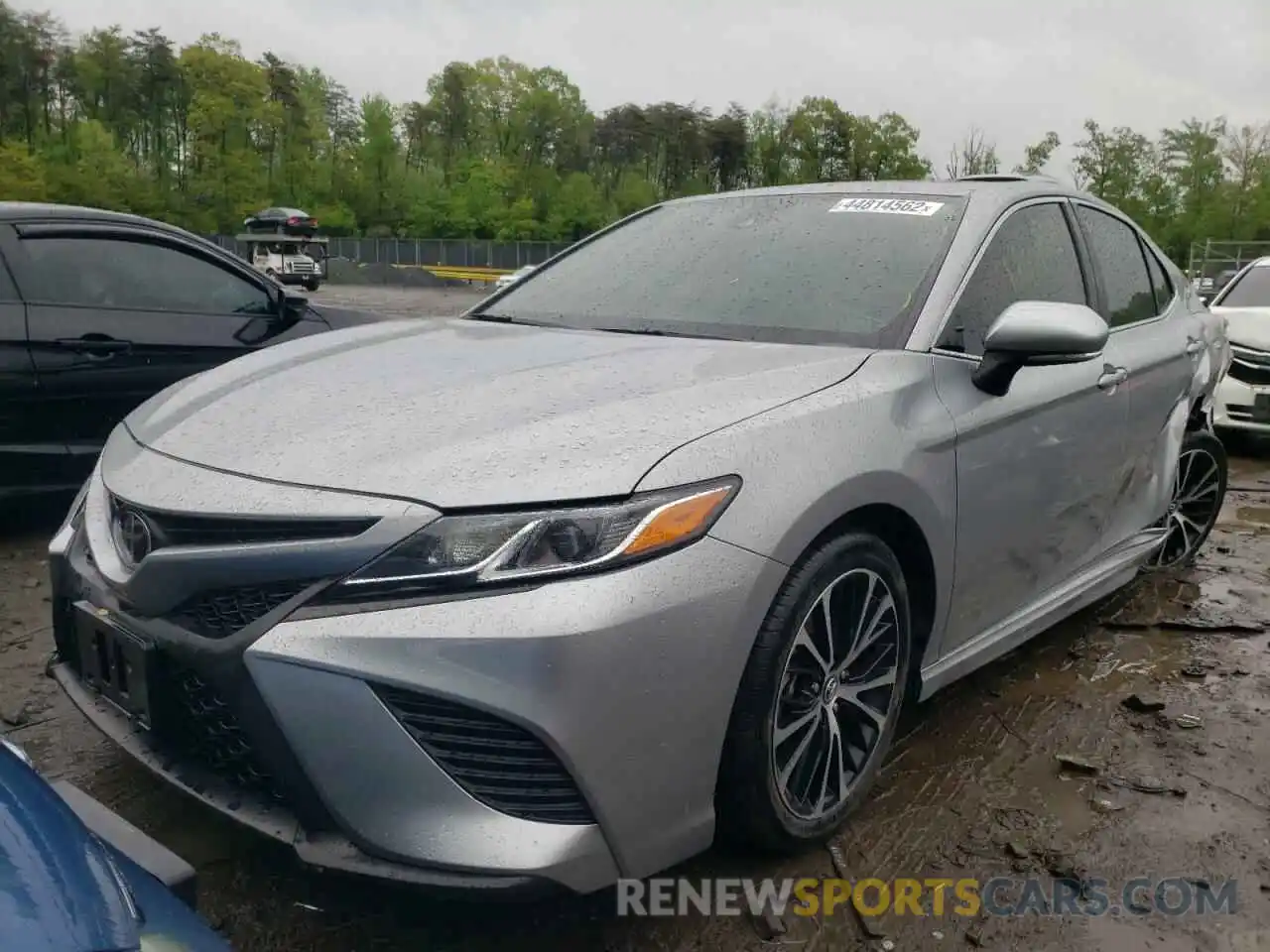 2 Photograph of a damaged car 4T1B11HK2KU765686 TOYOTA CAMRY 2019