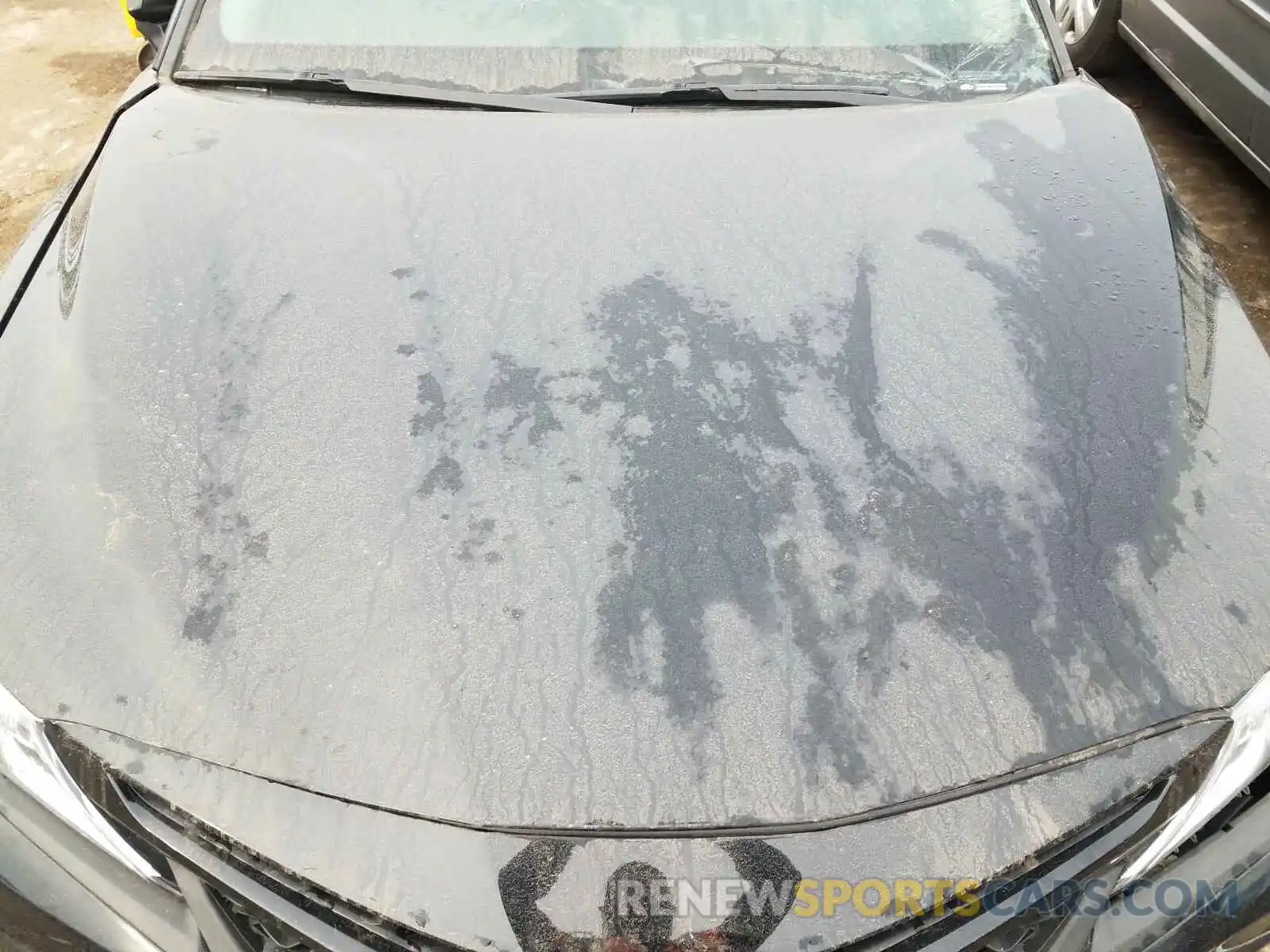 7 Photograph of a damaged car 4T1B11HK2KU769091 TOYOTA CAMRY 2019