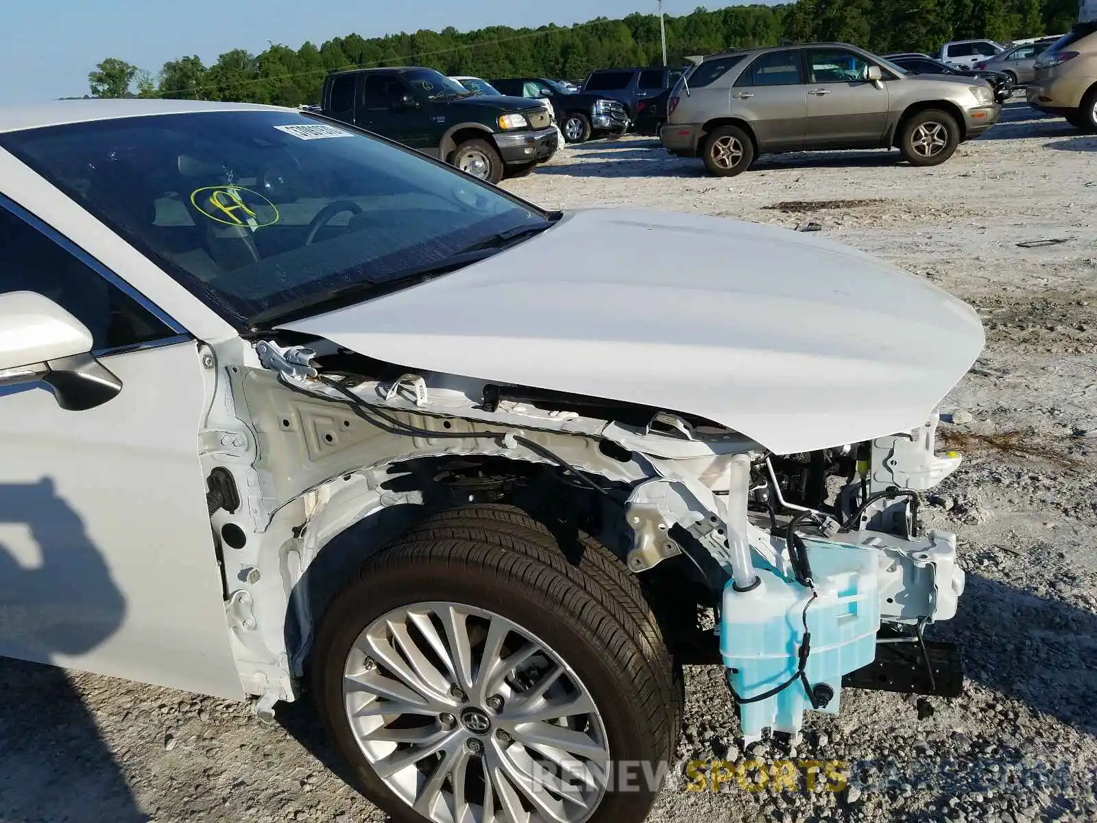 9 Photograph of a damaged car 4T1B11HK2KU785744 TOYOTA CAMRY 2019