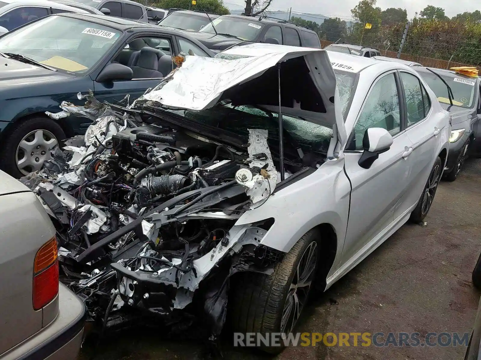 2 Photograph of a damaged car 4T1B11HK2KU786344 TOYOTA CAMRY 2019