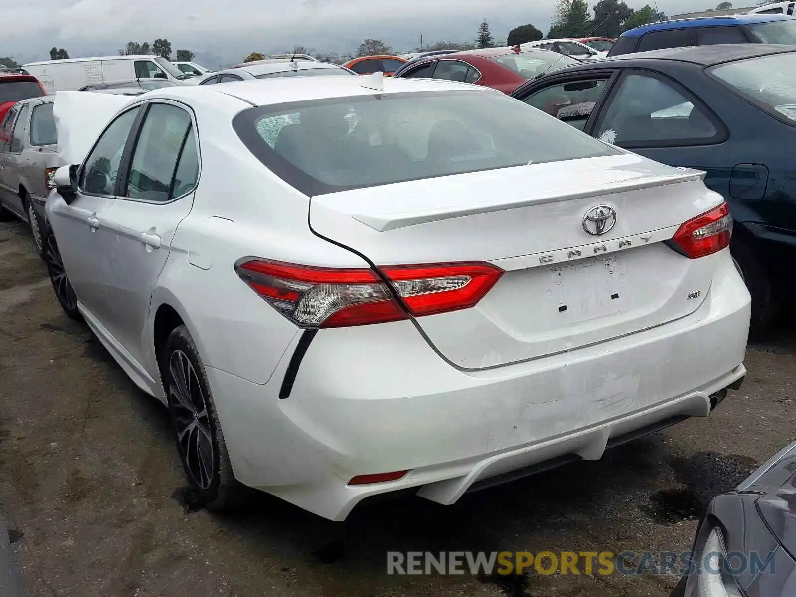 3 Photograph of a damaged car 4T1B11HK2KU786344 TOYOTA CAMRY 2019