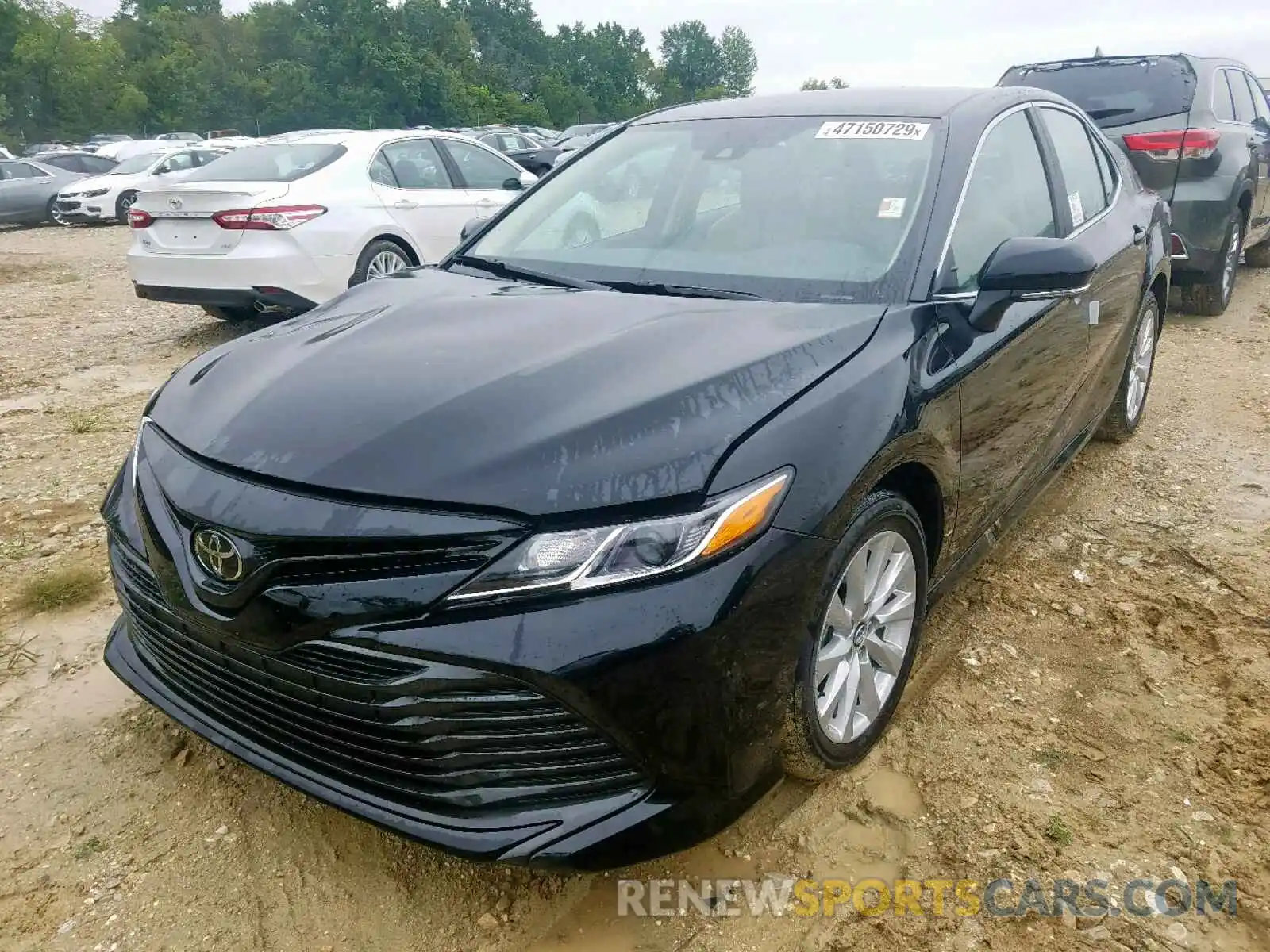 2 Photograph of a damaged car 4T1B11HK2KU788756 TOYOTA CAMRY 2019