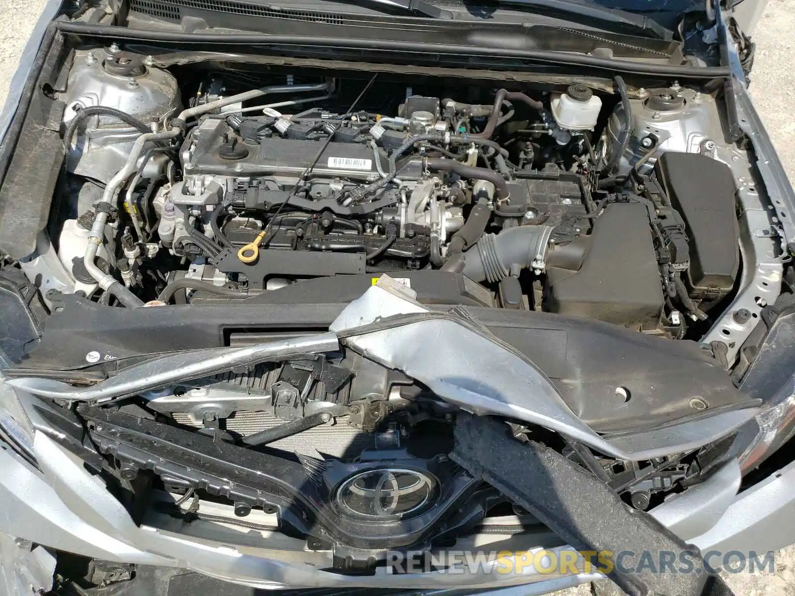 7 Photograph of a damaged car 4T1B11HK2KU790197 TOYOTA CAMRY 2019