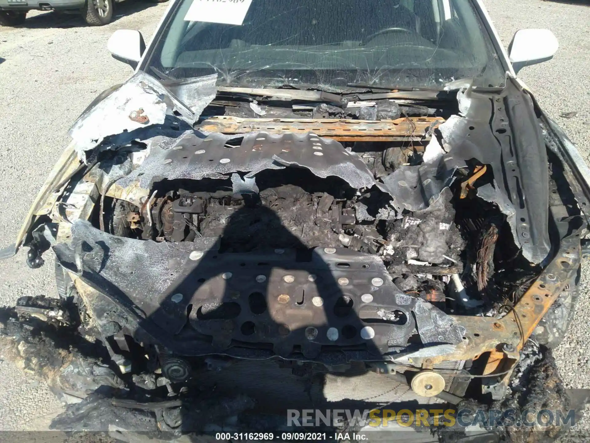 10 Photograph of a damaged car 4T1B11HK2KU799241 TOYOTA CAMRY 2019