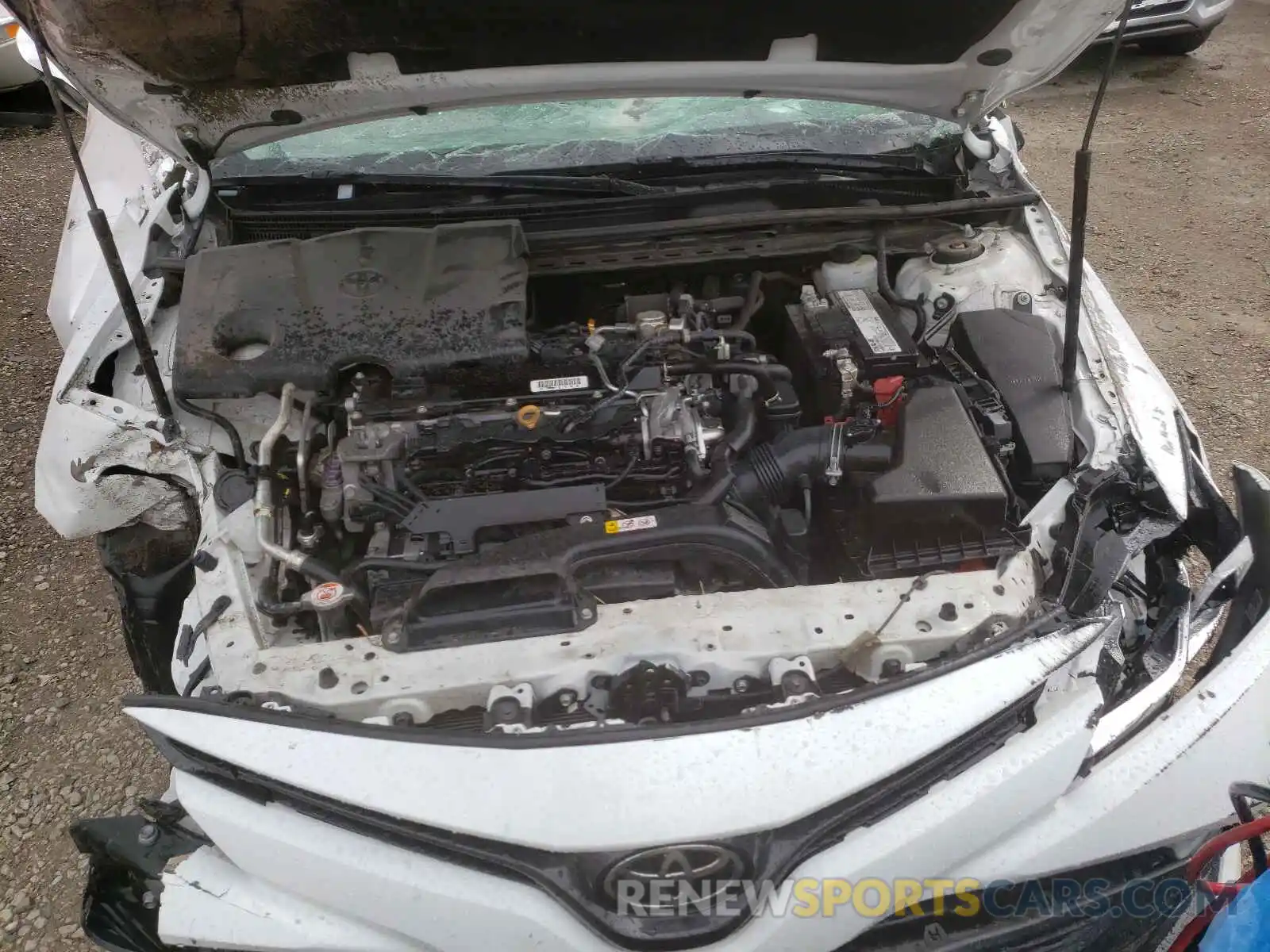 7 Photograph of a damaged car 4T1B11HK2KU802736 TOYOTA CAMRY 2019