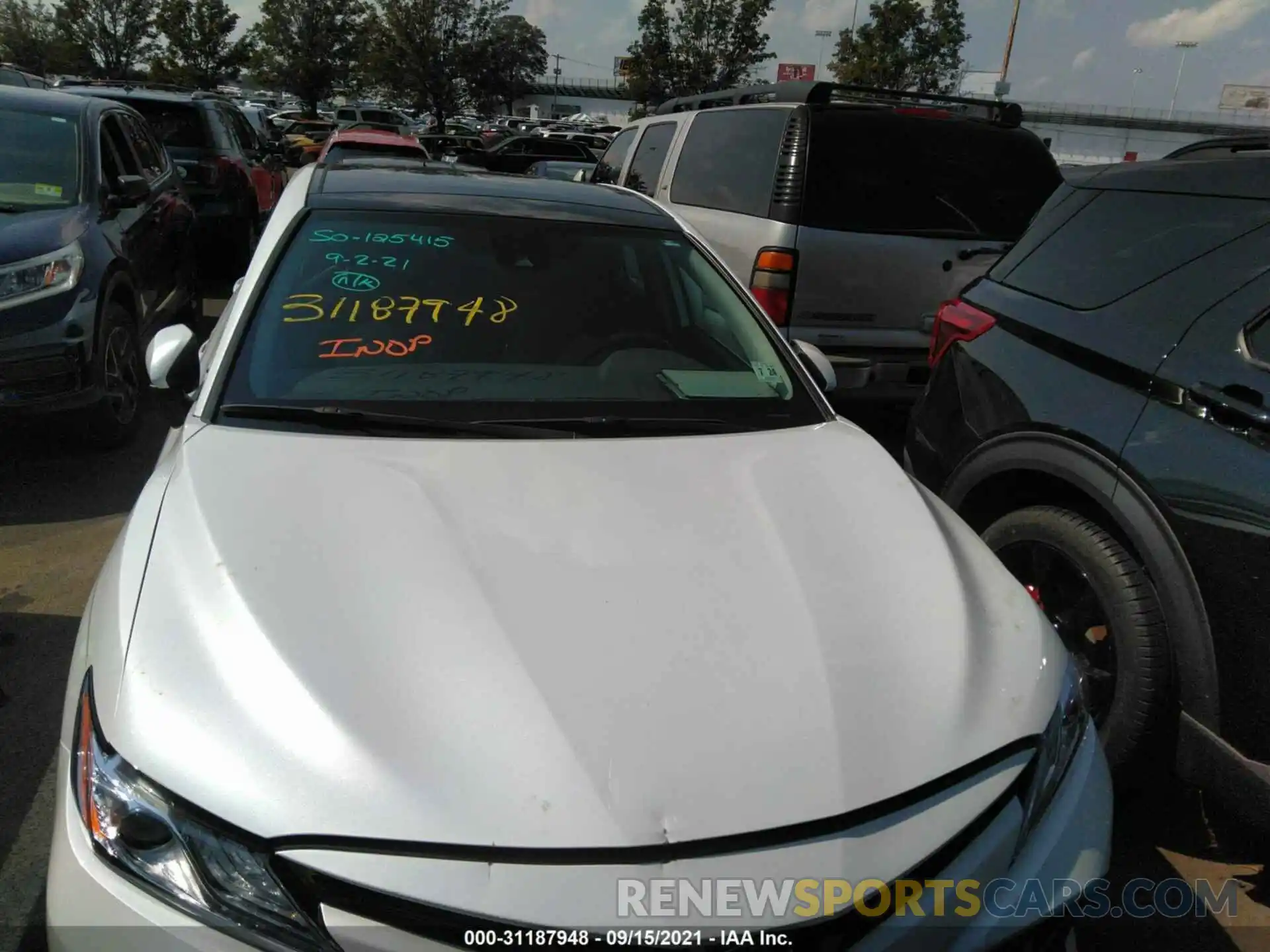 6 Photograph of a damaged car 4T1B11HK2KU803689 TOYOTA CAMRY 2019