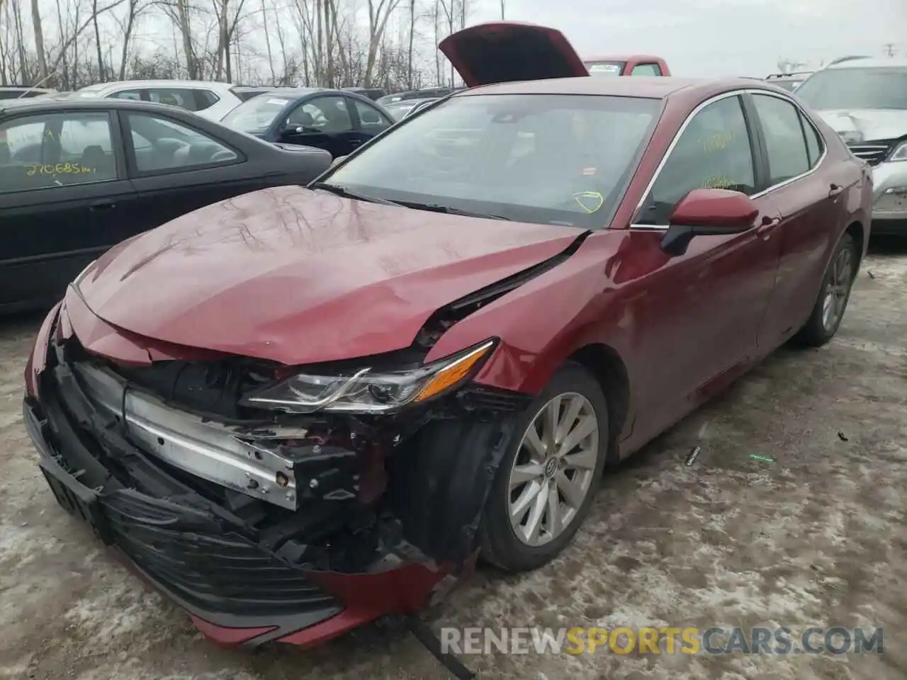 2 Photograph of a damaged car 4T1B11HK2KU814207 TOYOTA CAMRY 2019