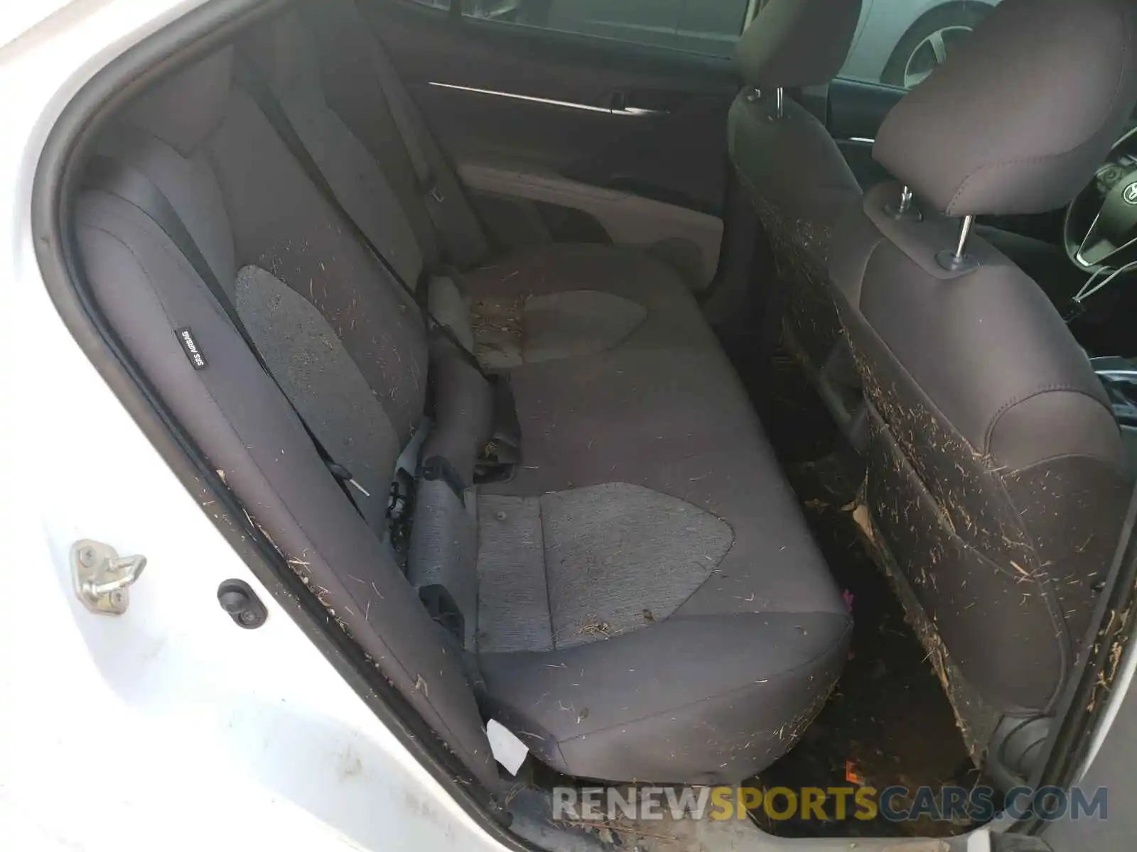 6 Photograph of a damaged car 4T1B11HK2KU824929 TOYOTA CAMRY 2019