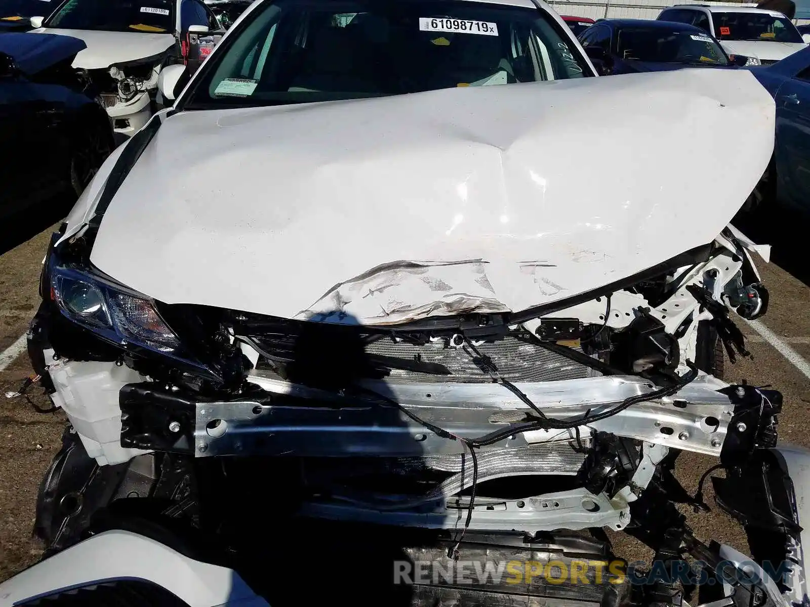 7 Photograph of a damaged car 4T1B11HK2KU827412 TOYOTA CAMRY 2019