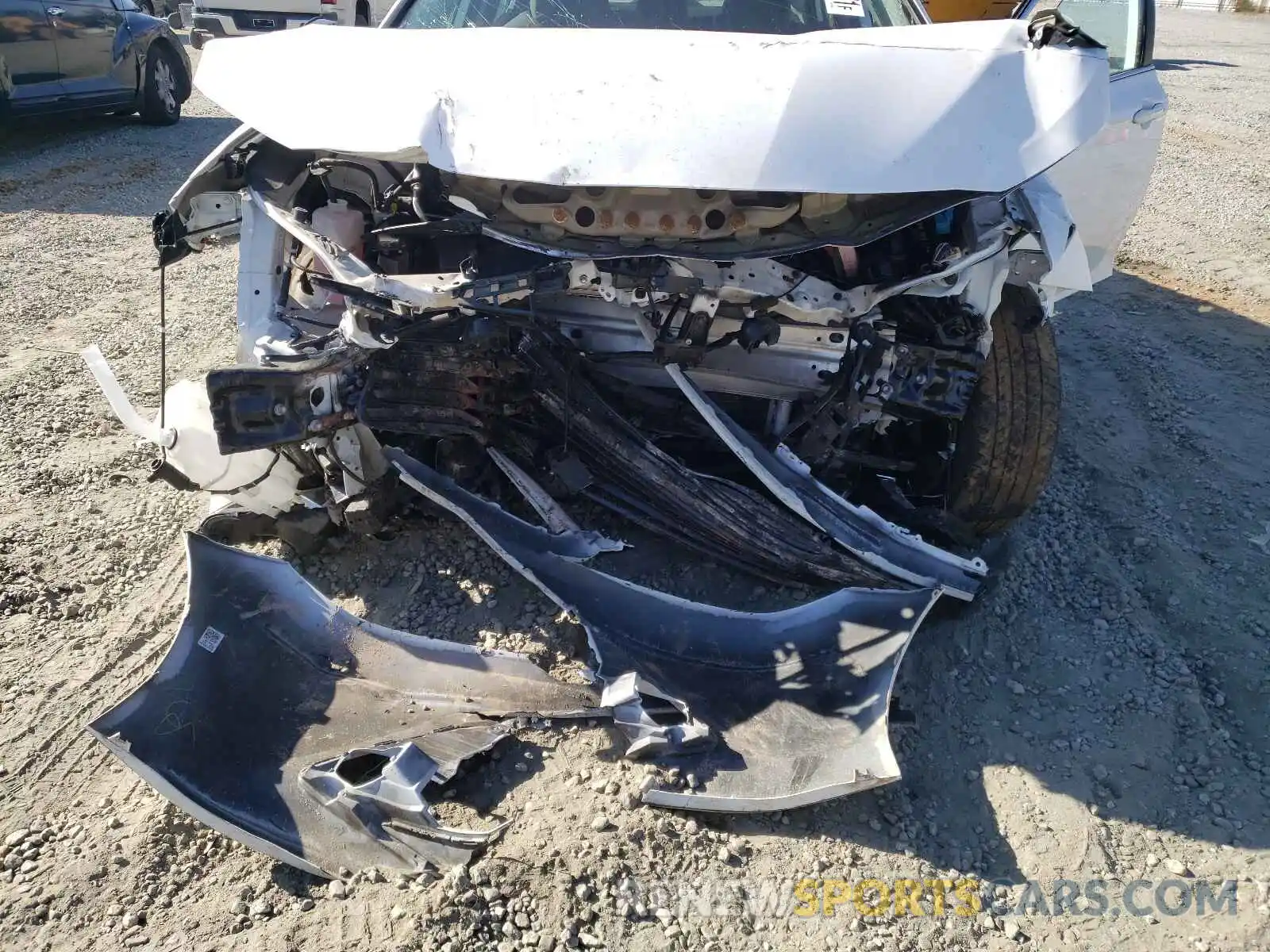 7 Photograph of a damaged car 4T1B11HK2KU830620 TOYOTA CAMRY 2019