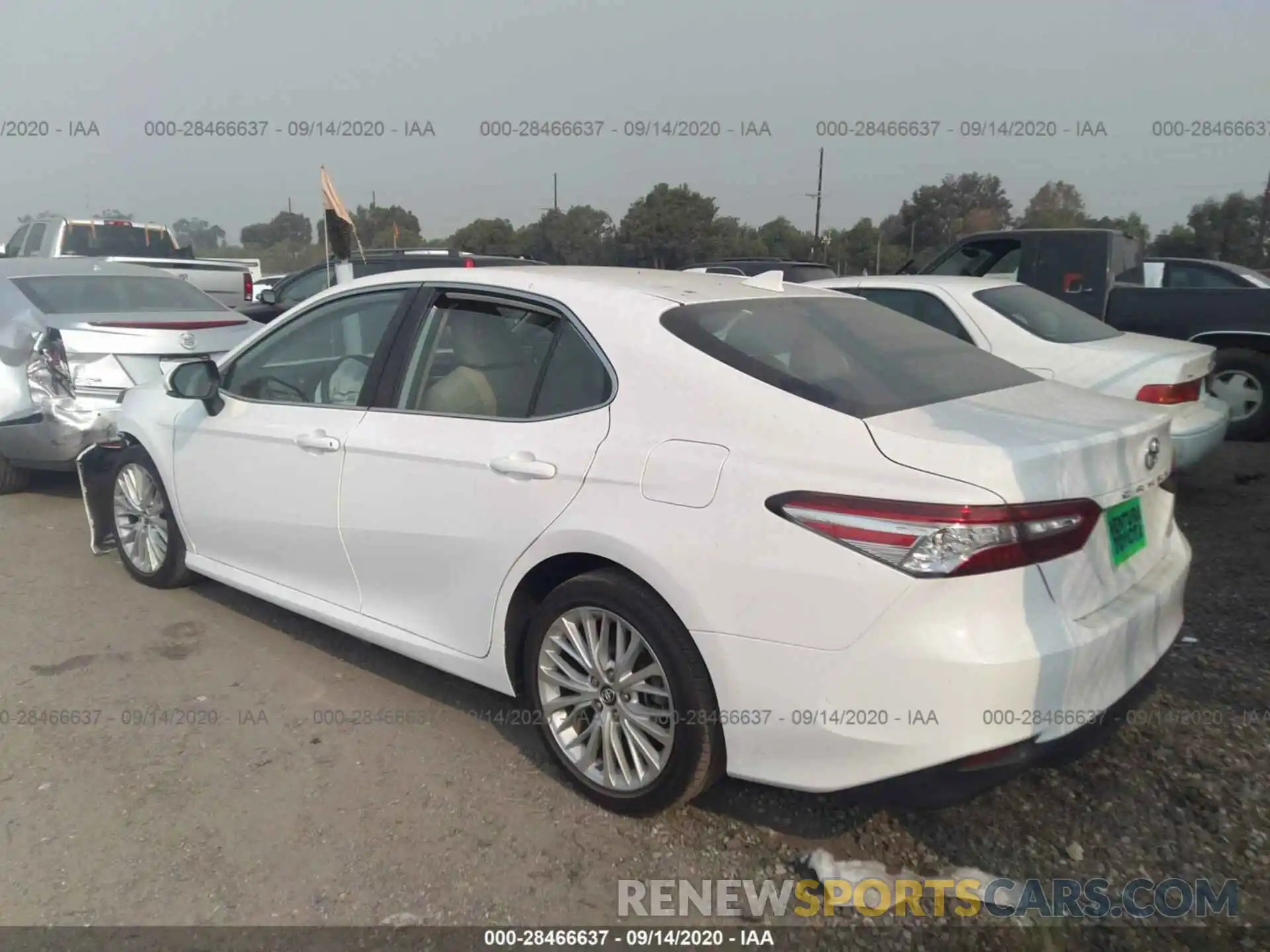 3 Photograph of a damaged car 4T1B11HK3KU164321 TOYOTA CAMRY 2019