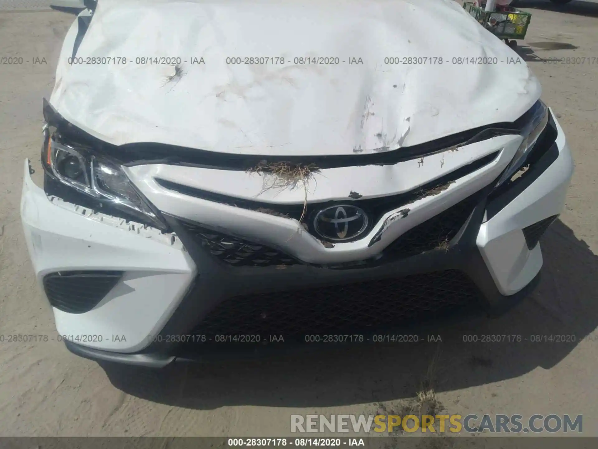 6 Photograph of a damaged car 4T1B11HK3KU175769 TOYOTA CAMRY 2019