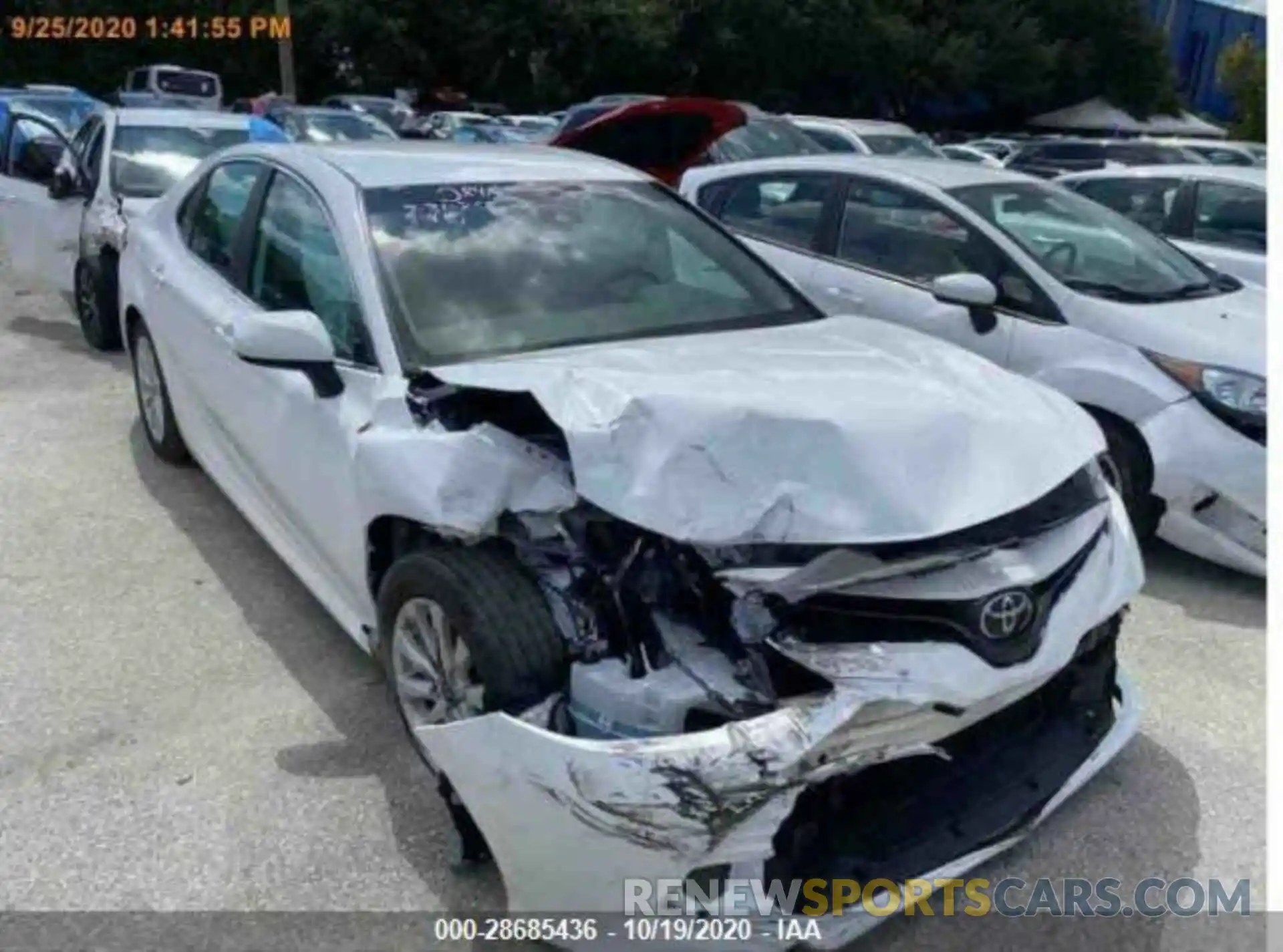 1 Photograph of a damaged car 4T1B11HK3KU195746 TOYOTA CAMRY 2019