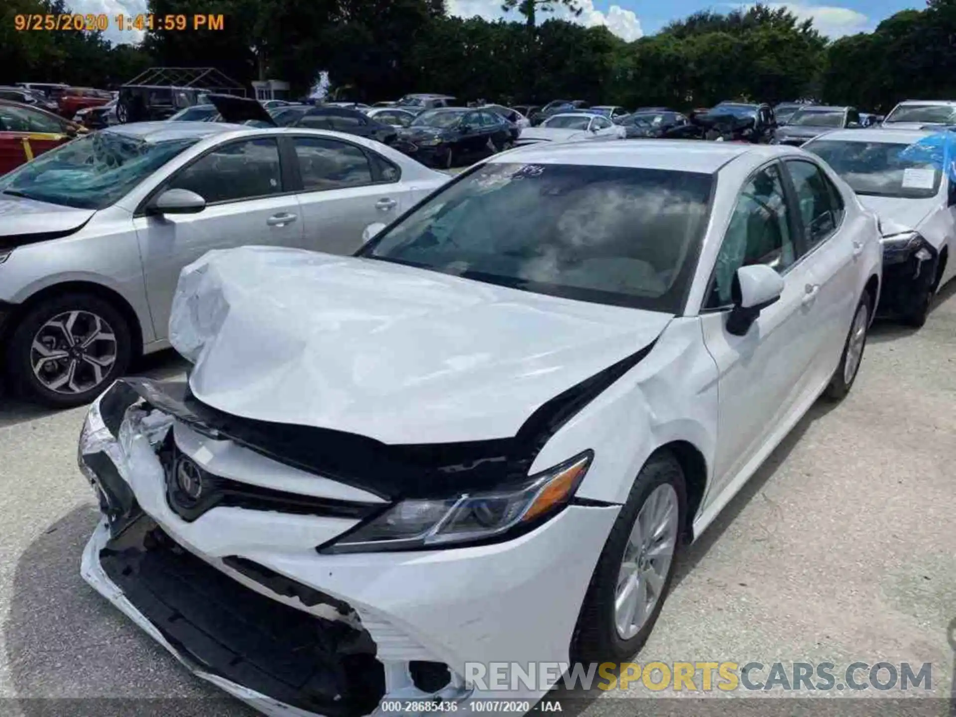 14 Photograph of a damaged car 4T1B11HK3KU195746 TOYOTA CAMRY 2019