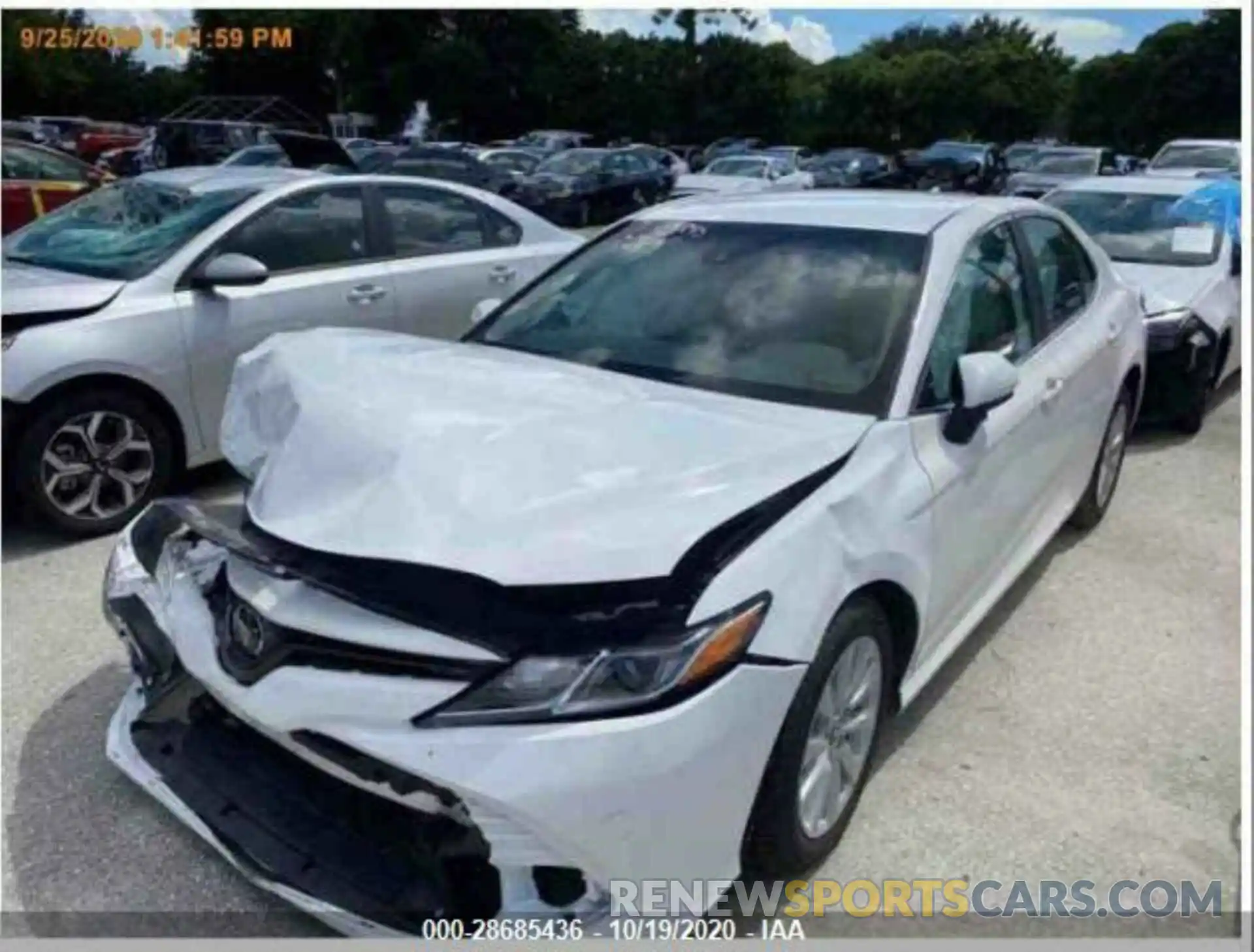 2 Photograph of a damaged car 4T1B11HK3KU195746 TOYOTA CAMRY 2019