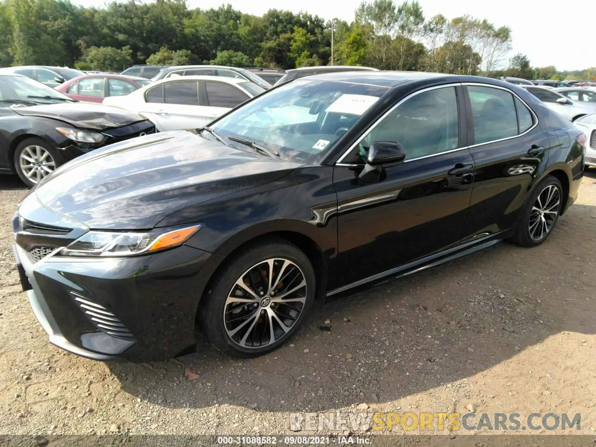 2 Photograph of a damaged car 4T1B11HK3KU198260 TOYOTA CAMRY 2019