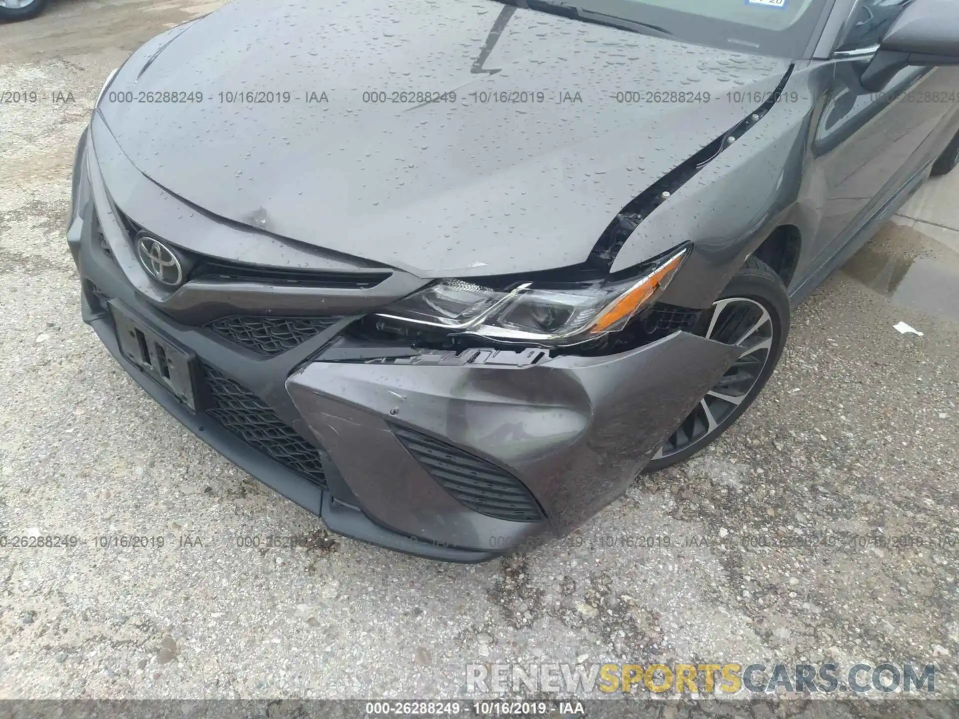 6 Photograph of a damaged car 4T1B11HK3KU199439 TOYOTA CAMRY 2019