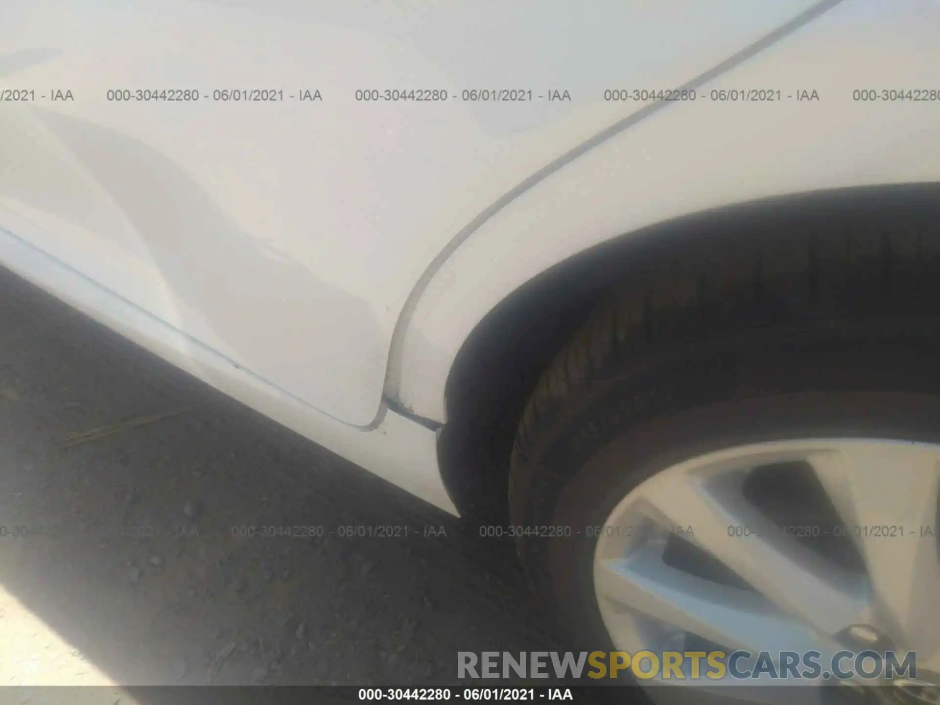 6 Photograph of a damaged car 4T1B11HK3KU242628 TOYOTA CAMRY 2019