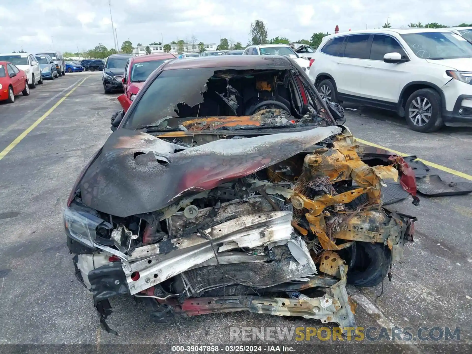 6 Photograph of a damaged car 4T1B11HK3KU249935 TOYOTA CAMRY 2019