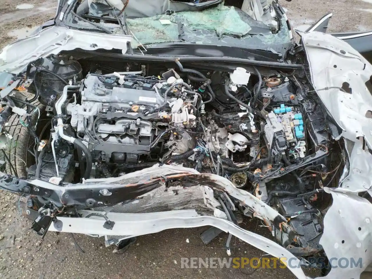 7 Photograph of a damaged car 4T1B11HK3KU256691 TOYOTA CAMRY 2019