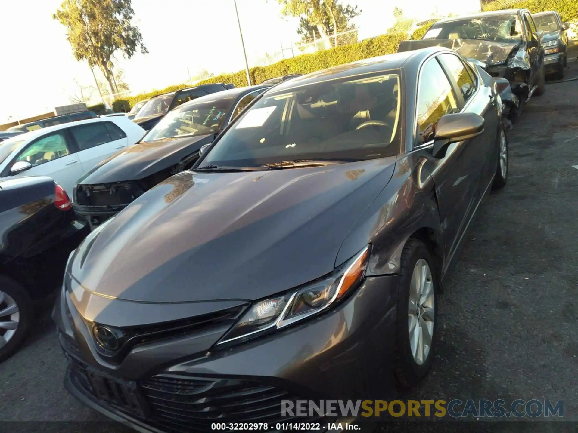 2 Photograph of a damaged car 4T1B11HK3KU278514 TOYOTA CAMRY 2019