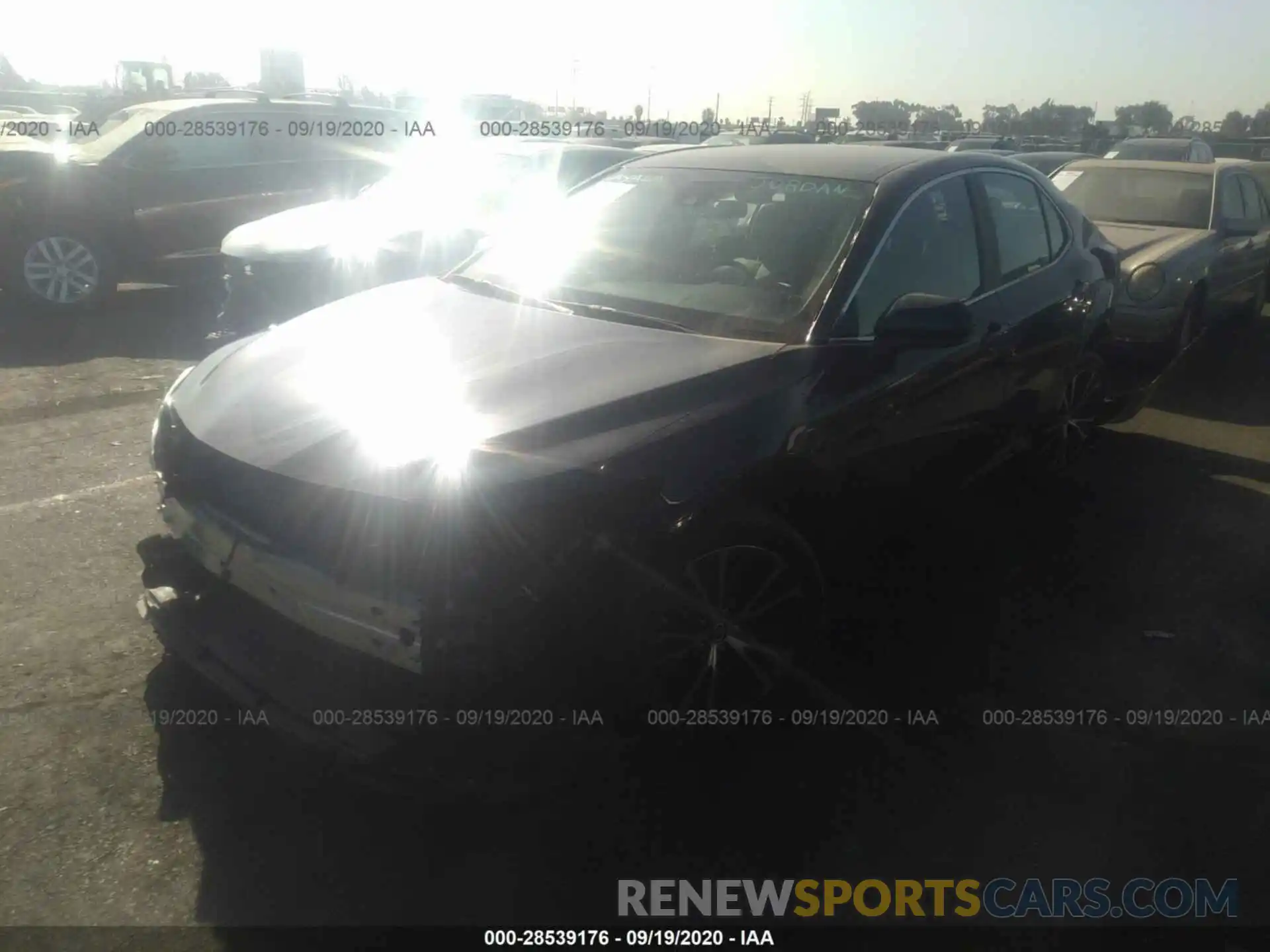 2 Photograph of a damaged car 4T1B11HK3KU285513 TOYOTA CAMRY 2019