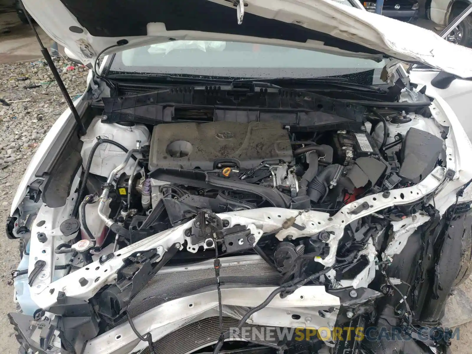 7 Photograph of a damaged car 4T1B11HK3KU290386 TOYOTA CAMRY 2019