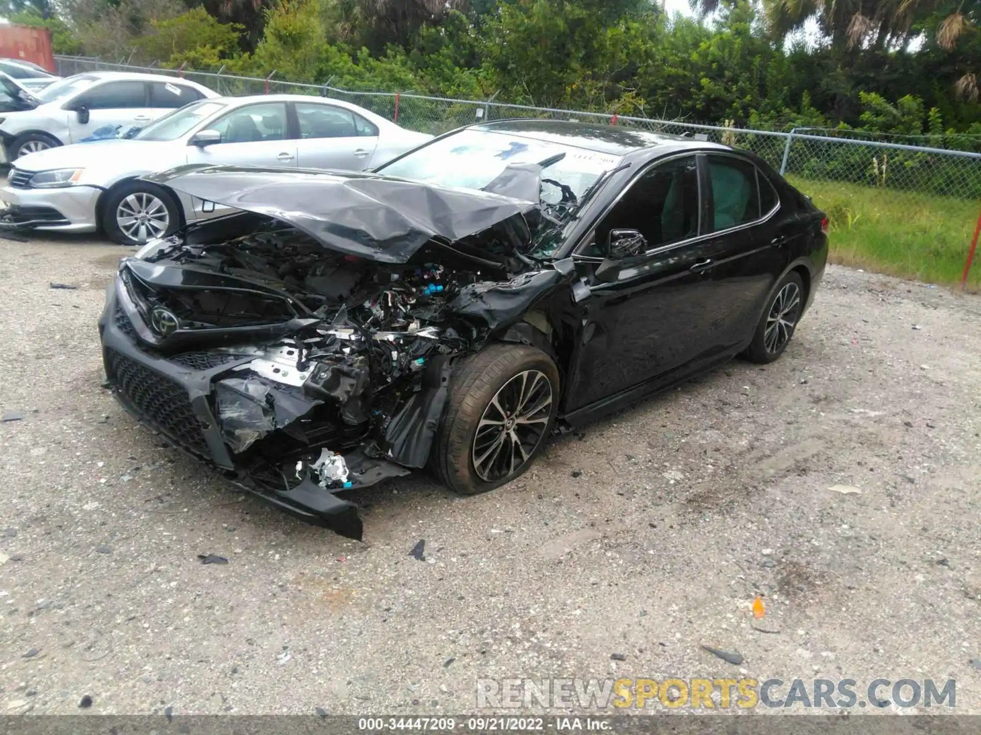 2 Photograph of a damaged car 4T1B11HK3KU294812 TOYOTA CAMRY 2019