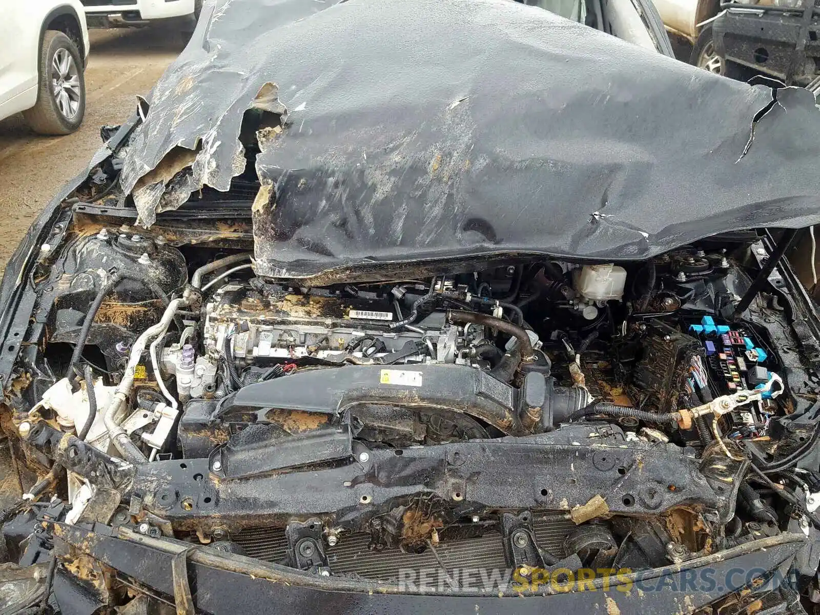 7 Photograph of a damaged car 4T1B11HK3KU701673 TOYOTA CAMRY 2019