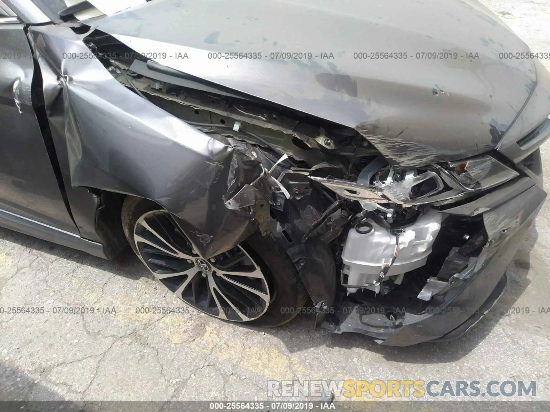 6 Photograph of a damaged car 4T1B11HK3KU723625 TOYOTA CAMRY 2019