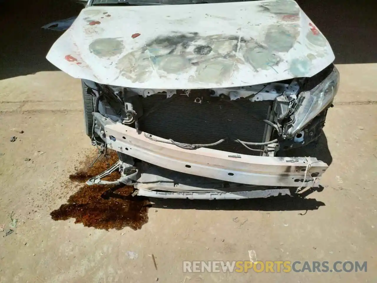 9 Photograph of a damaged car 4T1B11HK3KU754390 TOYOTA CAMRY 2019