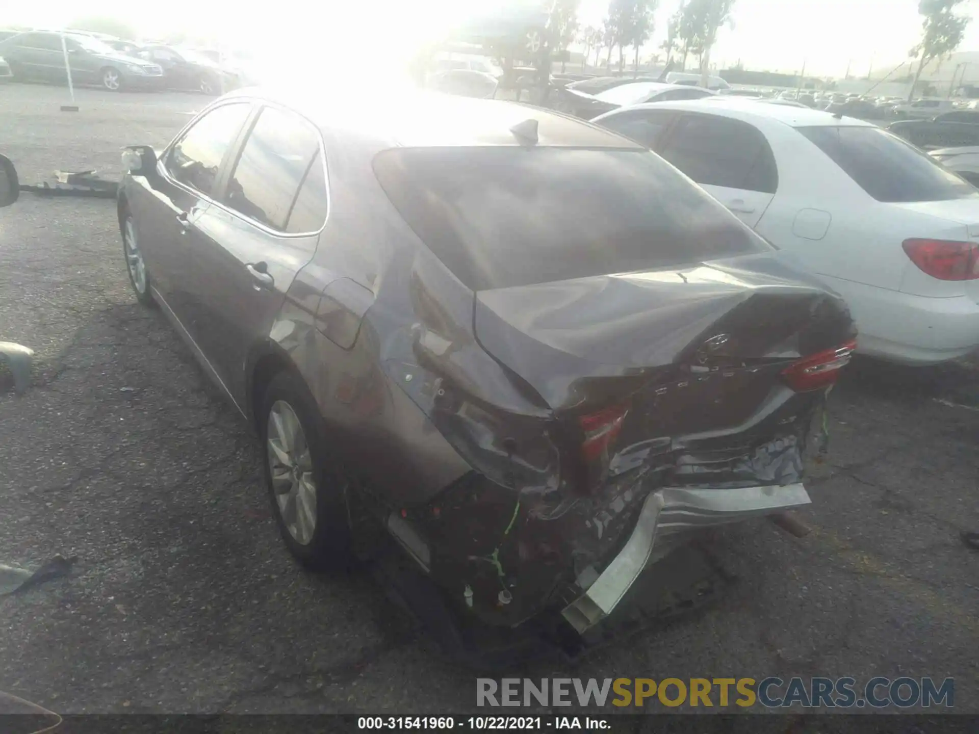 3 Photograph of a damaged car 4T1B11HK3KU766104 TOYOTA CAMRY 2019