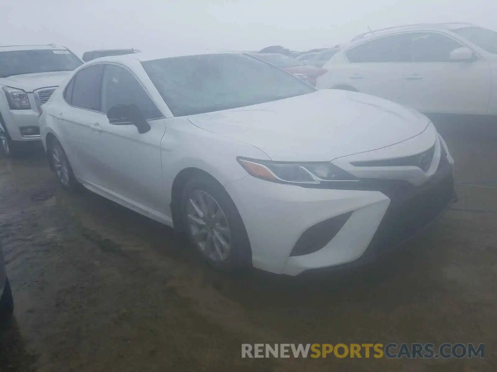 1 Photograph of a damaged car 4T1B11HK3KU768645 TOYOTA CAMRY 2019