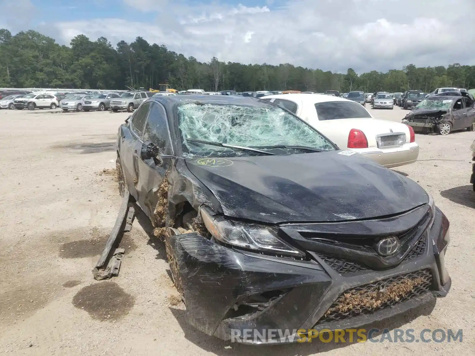 1 Photograph of a damaged car 4T1B11HK3KU787311 TOYOTA CAMRY 2019