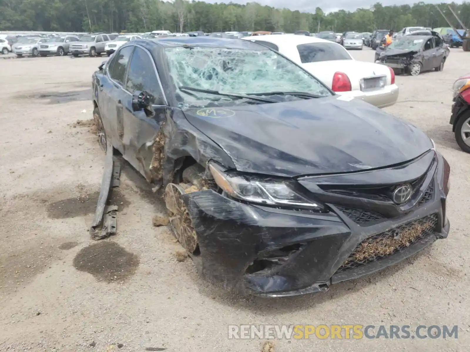 9 Photograph of a damaged car 4T1B11HK3KU787311 TOYOTA CAMRY 2019