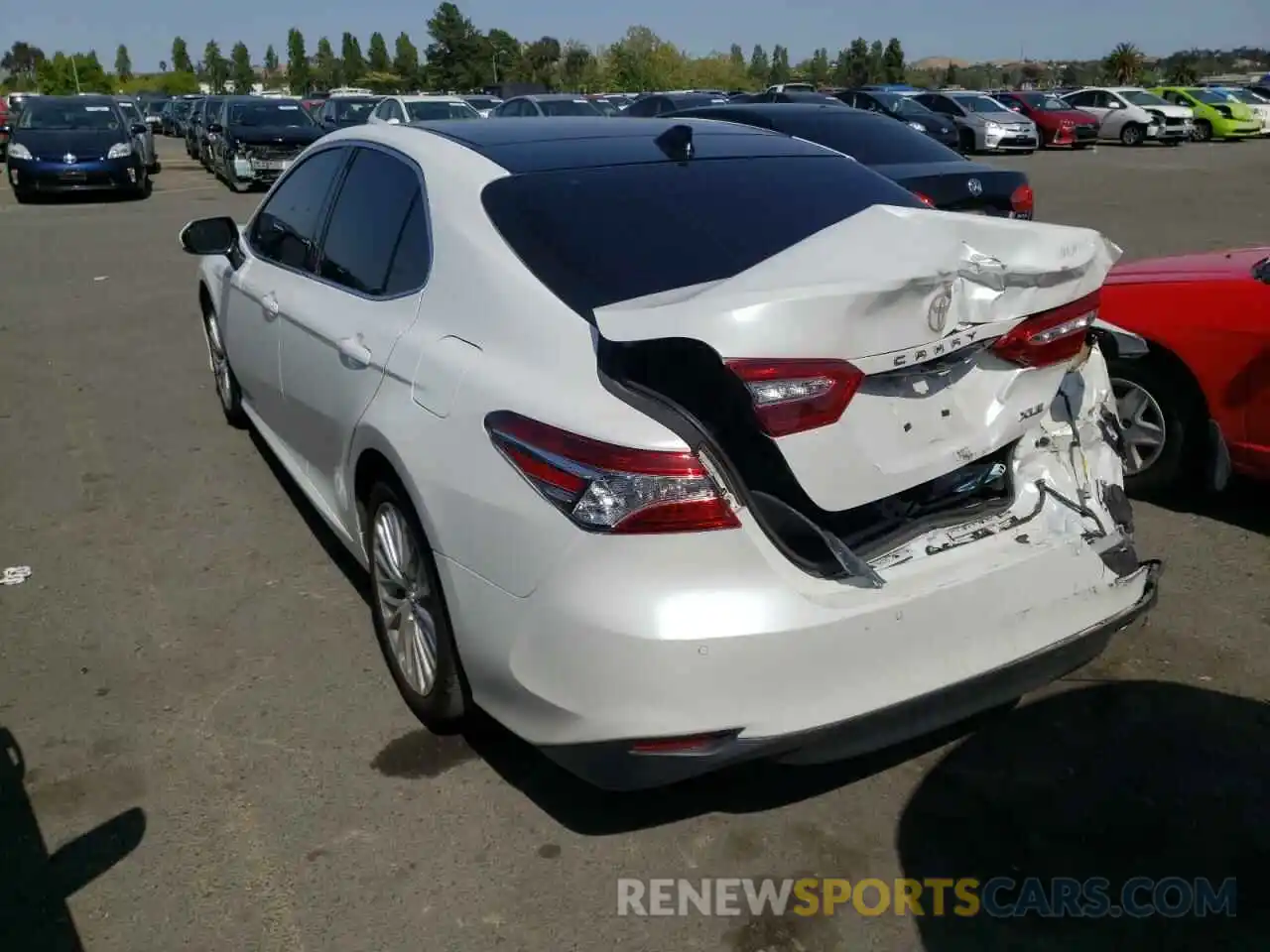 3 Photograph of a damaged car 4T1B11HK3KU795473 TOYOTA CAMRY 2019