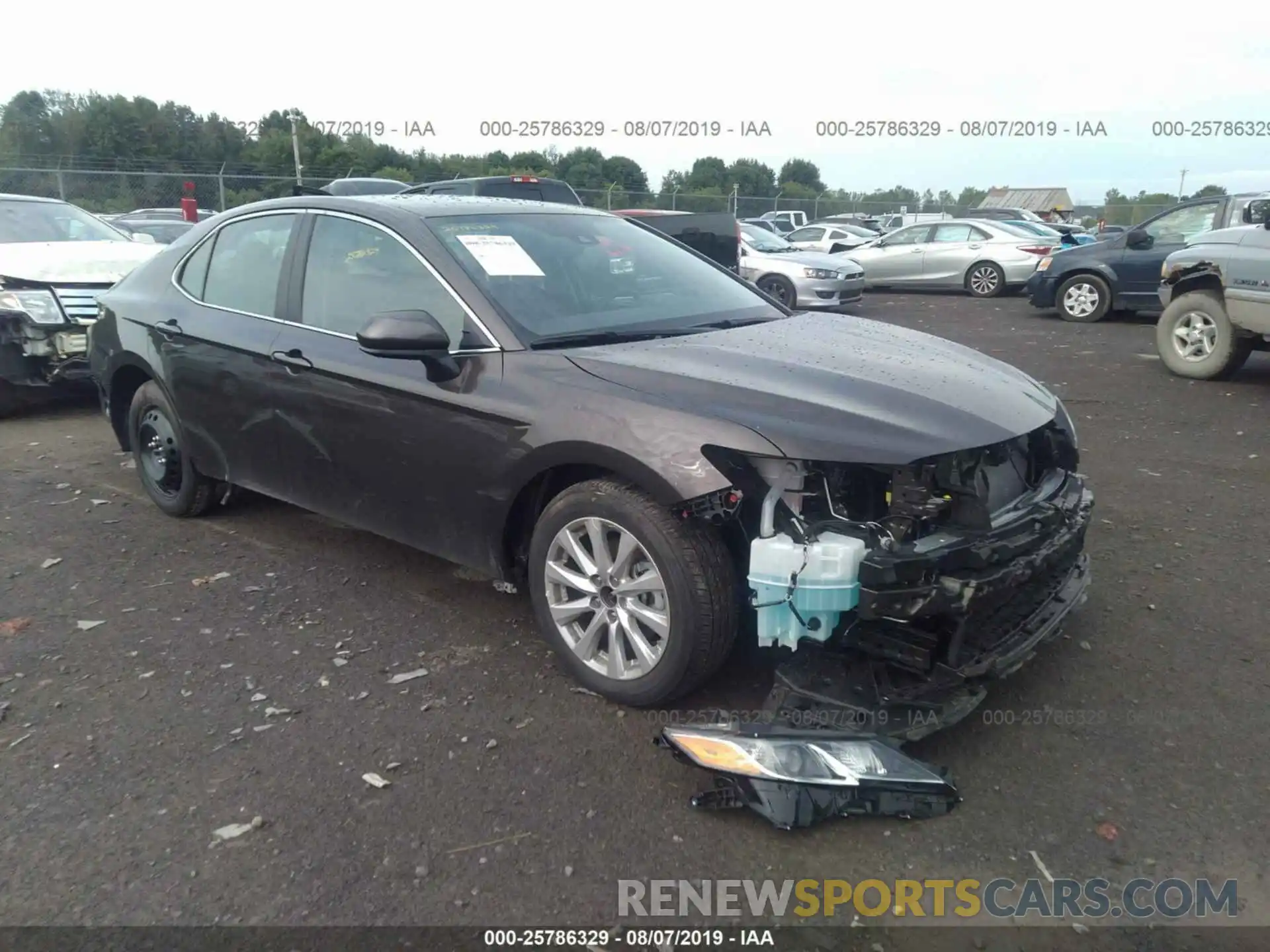 1 Photograph of a damaged car 4T1B11HK3KU814572 TOYOTA CAMRY 2019