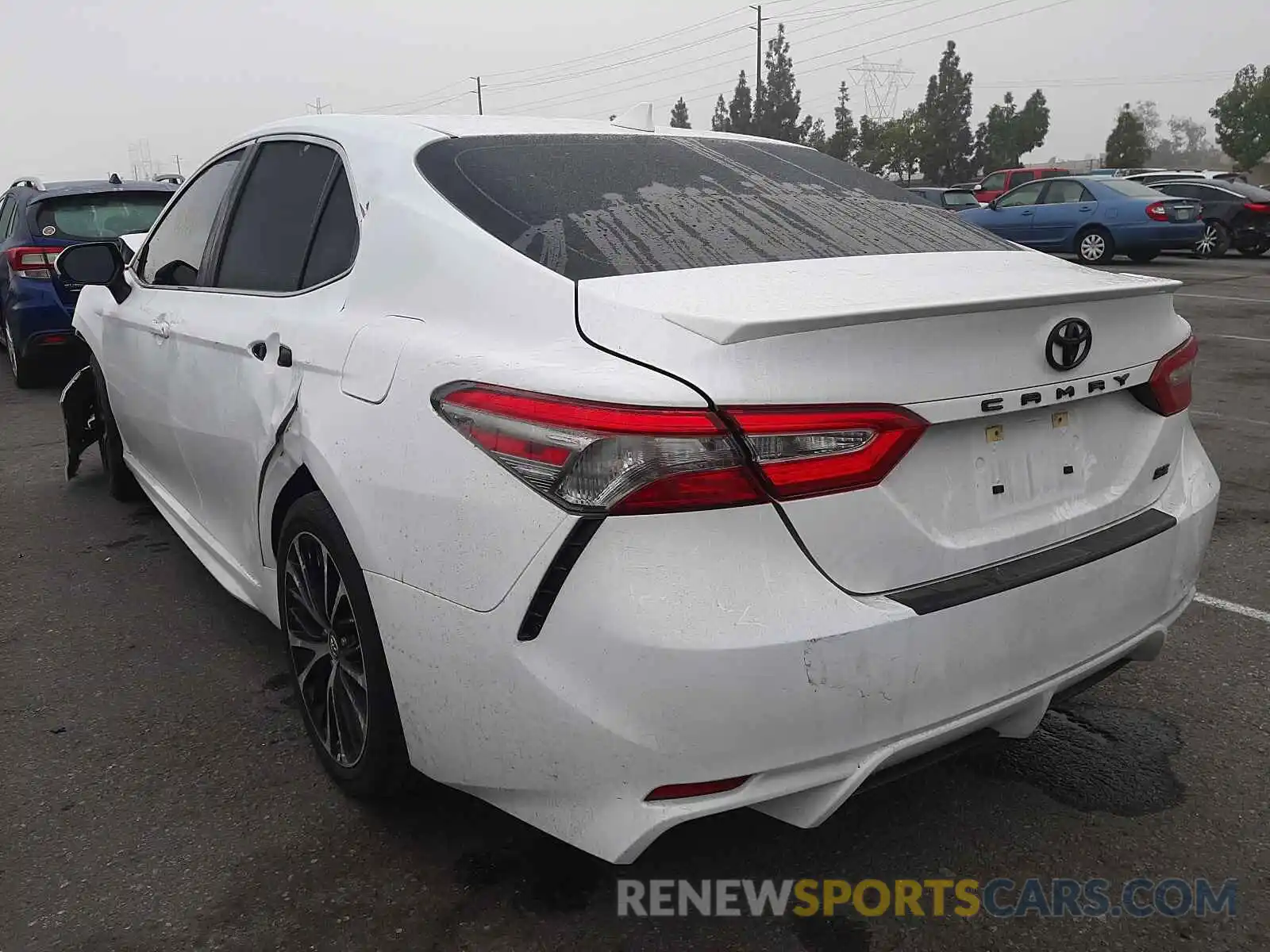 3 Photograph of a damaged car 4T1B11HK3KU829881 TOYOTA CAMRY 2019