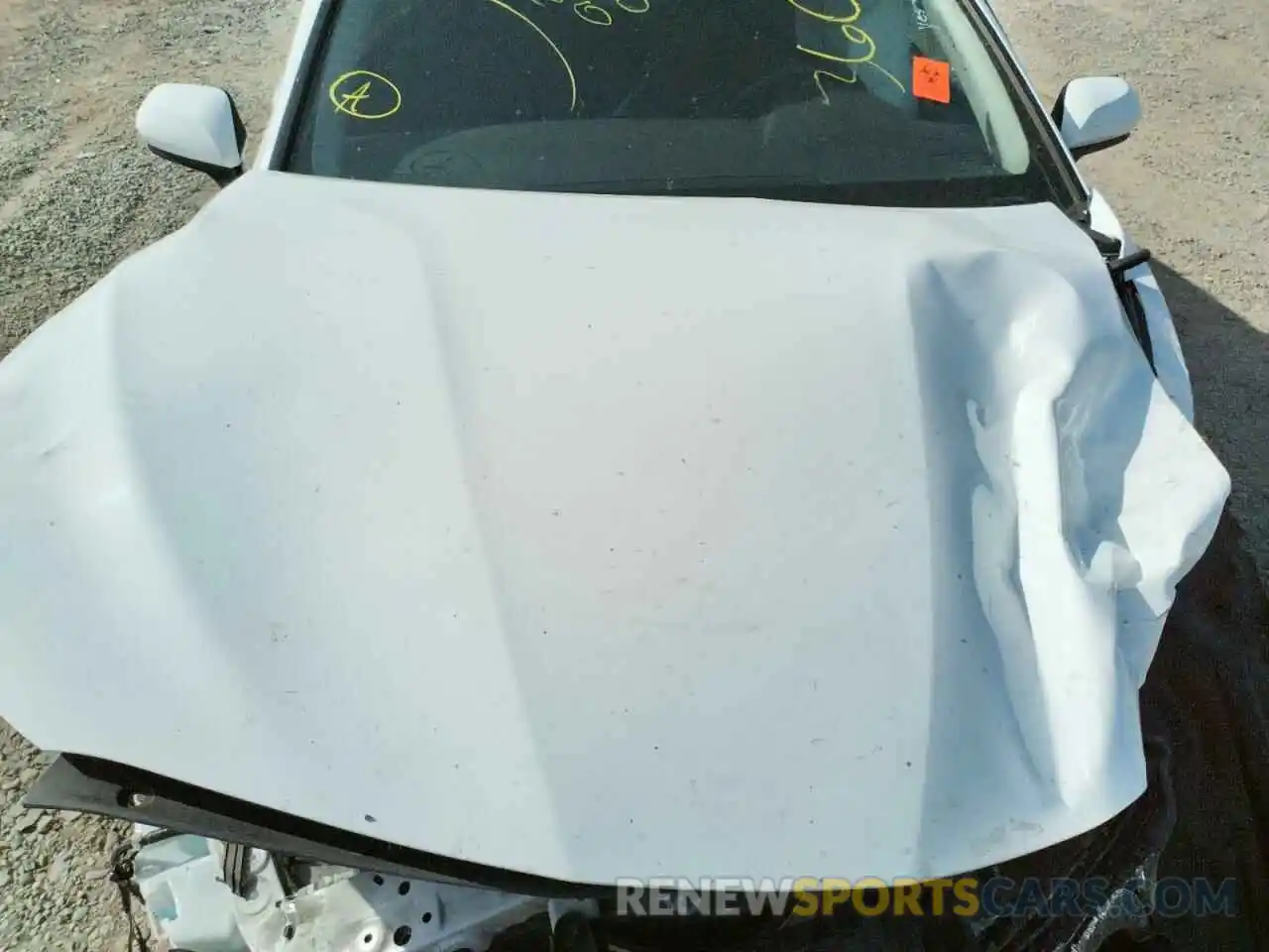 7 Photograph of a damaged car 4T1B11HK3KU831985 TOYOTA CAMRY 2019