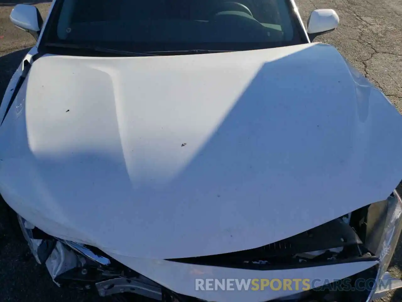 7 Photograph of a damaged car 4T1B11HK3KU844249 TOYOTA CAMRY 2019