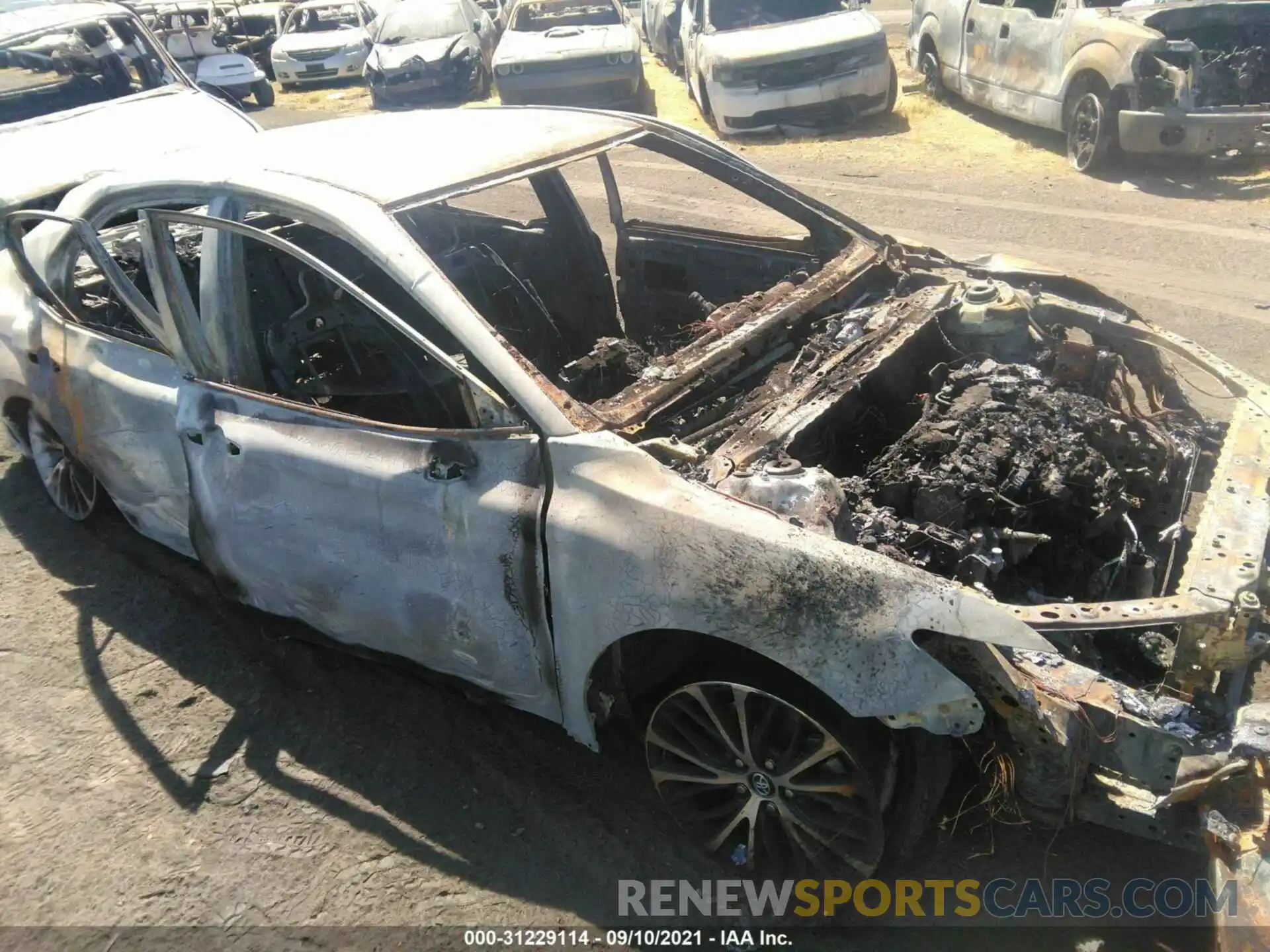 1 Photograph of a damaged car 4T1B11HK3KU850262 TOYOTA CAMRY 2019