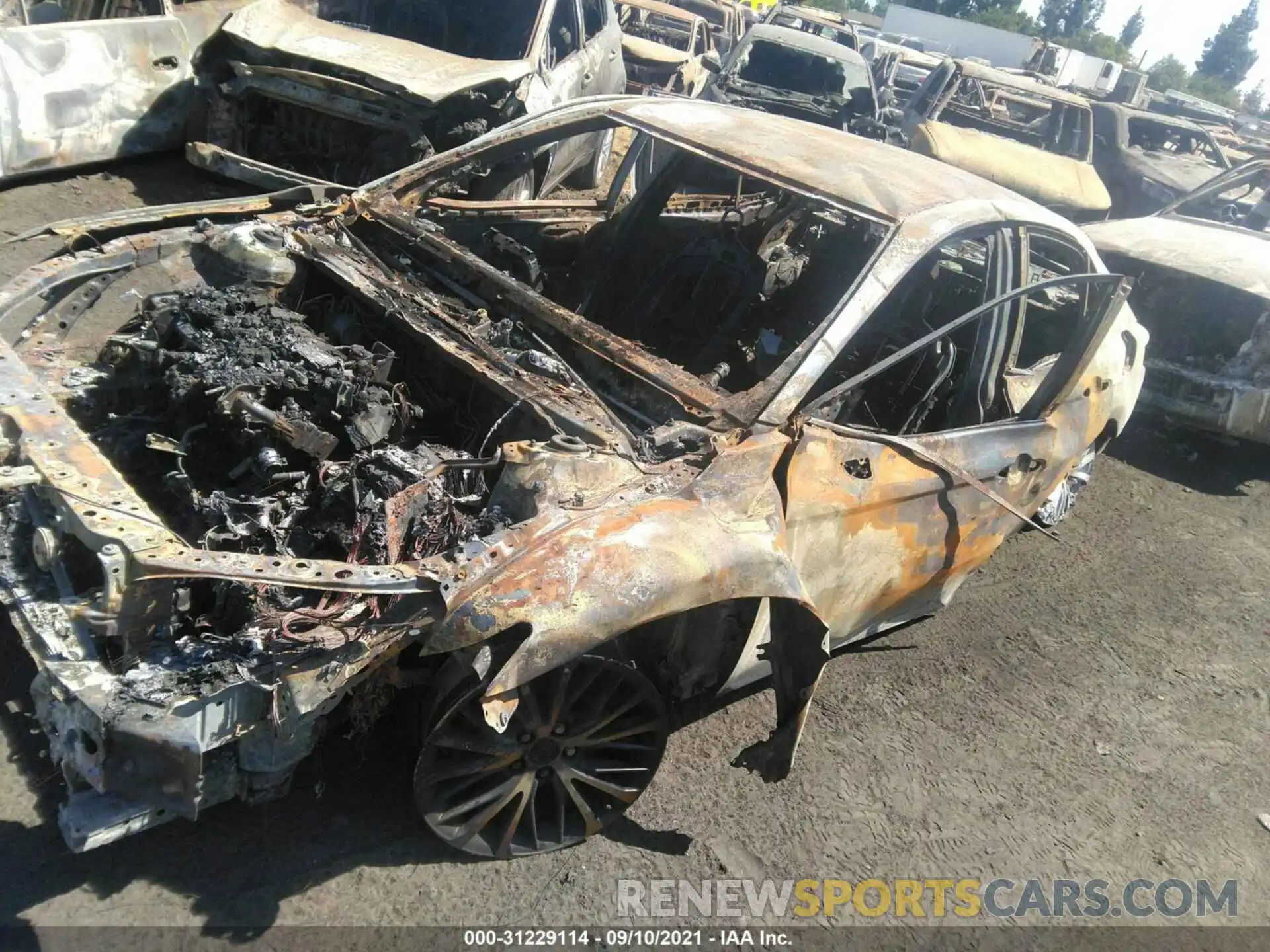 2 Photograph of a damaged car 4T1B11HK3KU850262 TOYOTA CAMRY 2019