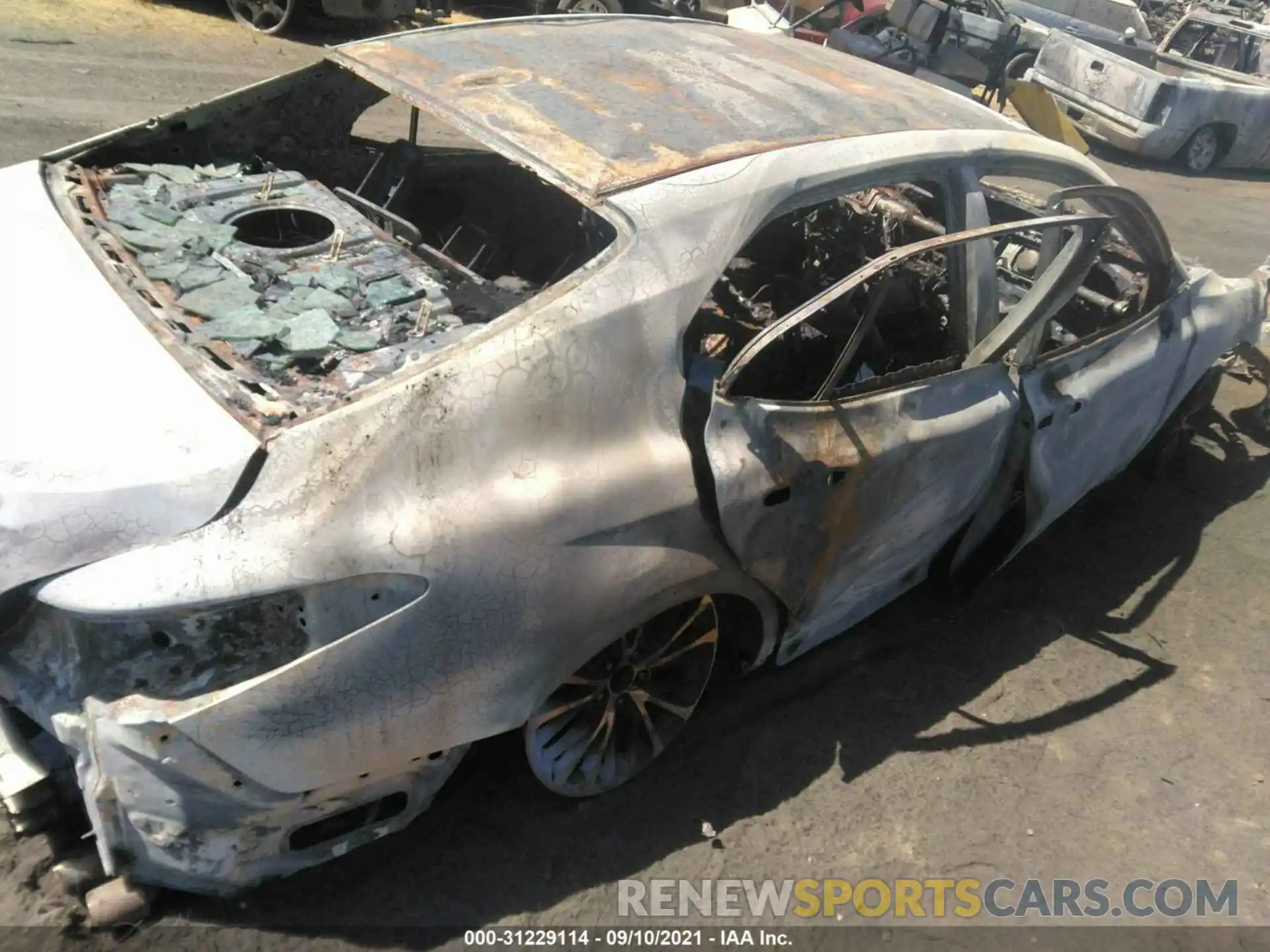 4 Photograph of a damaged car 4T1B11HK3KU850262 TOYOTA CAMRY 2019