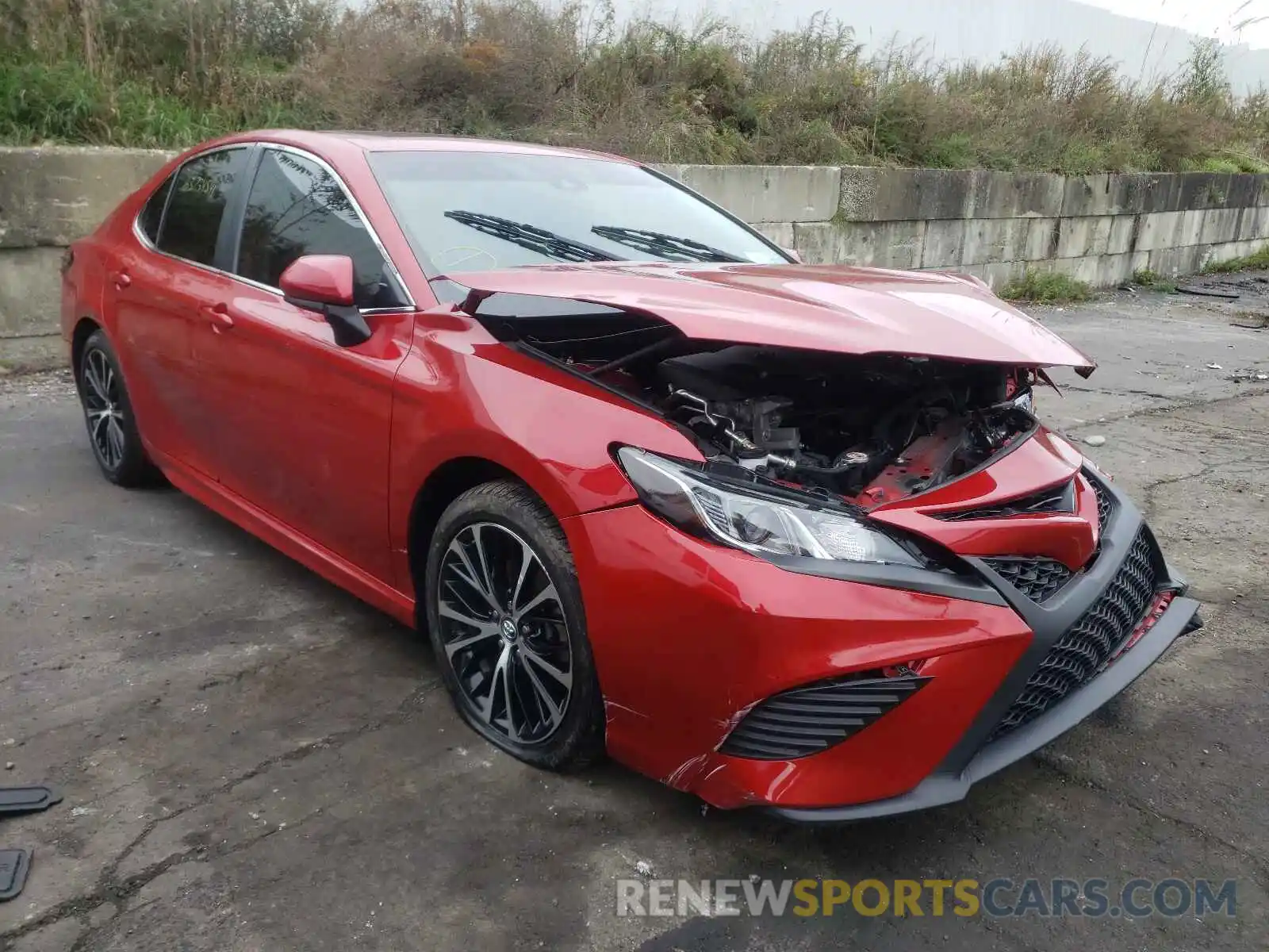 1 Photograph of a damaged car 4T1B11HK4KU162304 TOYOTA CAMRY 2019