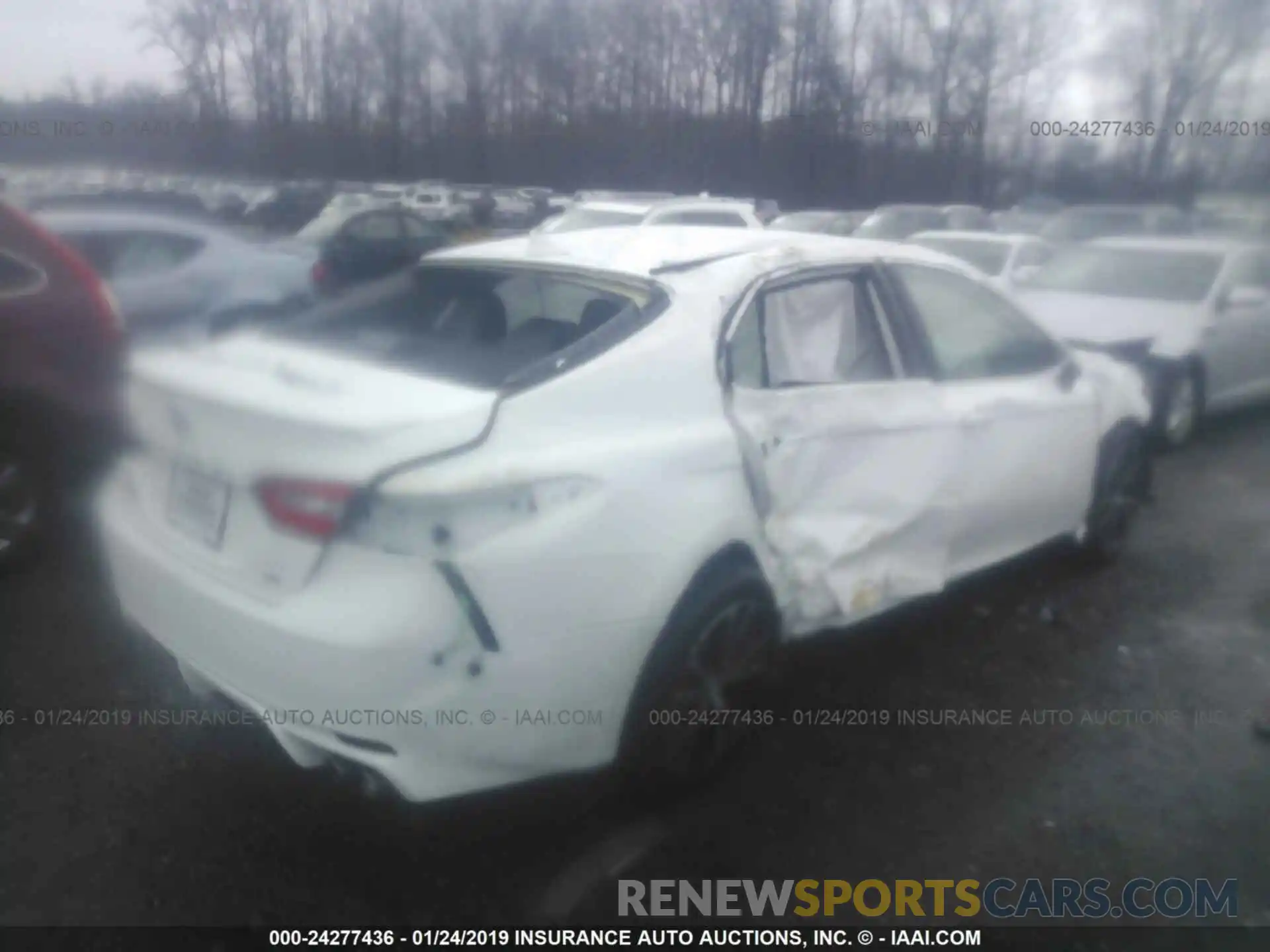 4 Photograph of a damaged car 4T1B11HK4KU177532 TOYOTA CAMRY 2019